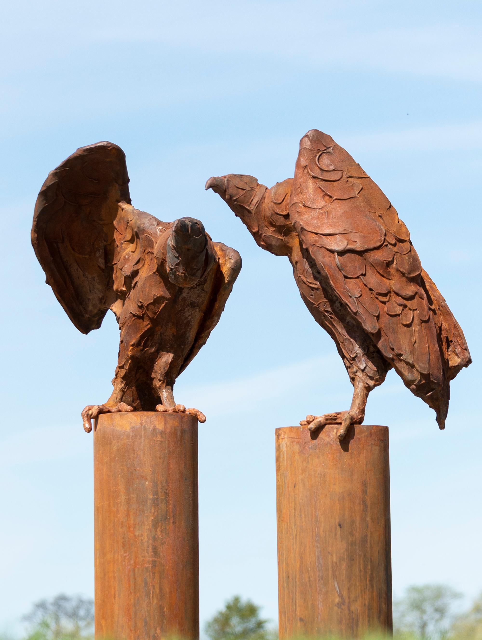 Buitre II - escultura rústica, figurativa, animal, ave, hierro fundido, exterior en venta 2