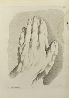 Anatomiestudien nach Guido Reni – Radierung von Nicholas Cochin – 1755
