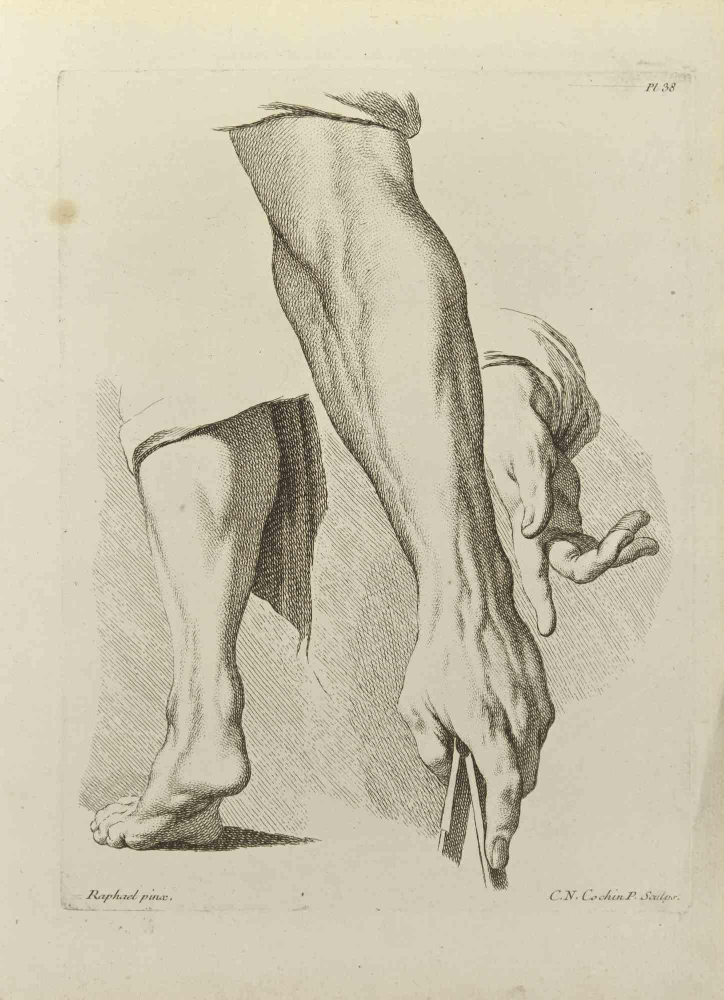 Anatomy Studies is an etching realized by Nicholas Cochin in 1755.

Good conditions with slight folding and foxing.

Signed in the plate.

The artwork is depicted through confident strokes.

The etching was realized for the anatomy study “JOMBERT,
