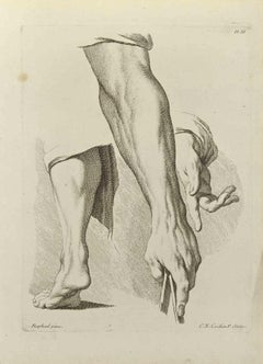Anatomiestudien – Radierung von Nicholas Cochin – 1755