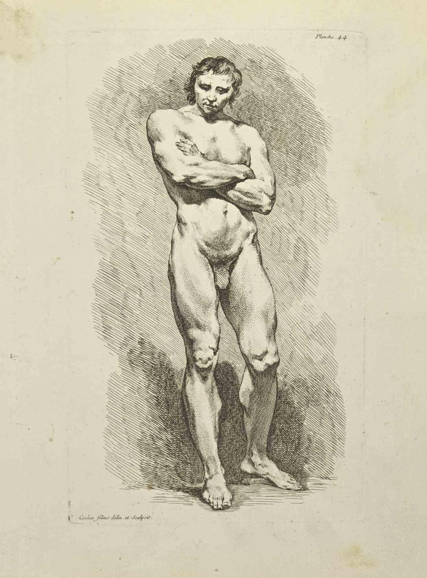 Anatomy Studies is an etching realized by Nicholas Cochin in 1755.

Signed in the plate.

Good conditions with foxing and folding.

The artwork is depicted through confident strokes.

The etching was realized for the anatomy study “JOMBERT,