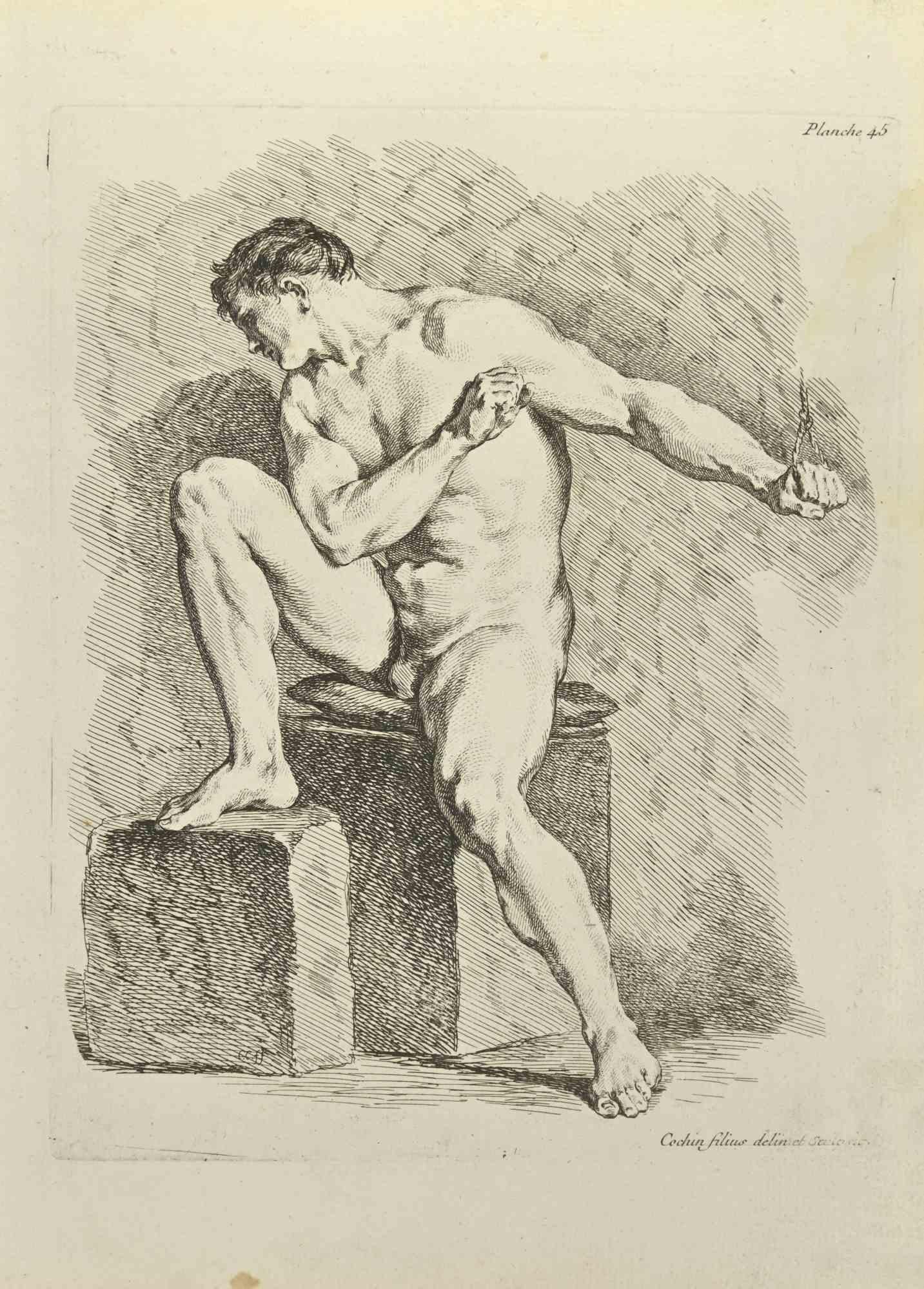 Anatomy Studies is an etching realized by Nicholas Cochin in 1755.

Signed in the plate.

Good conditions with foxing.

The artwork is depicted through confident strokes.

The etching was realized for the anatomy study “JOMBERT, Charles-Antoine