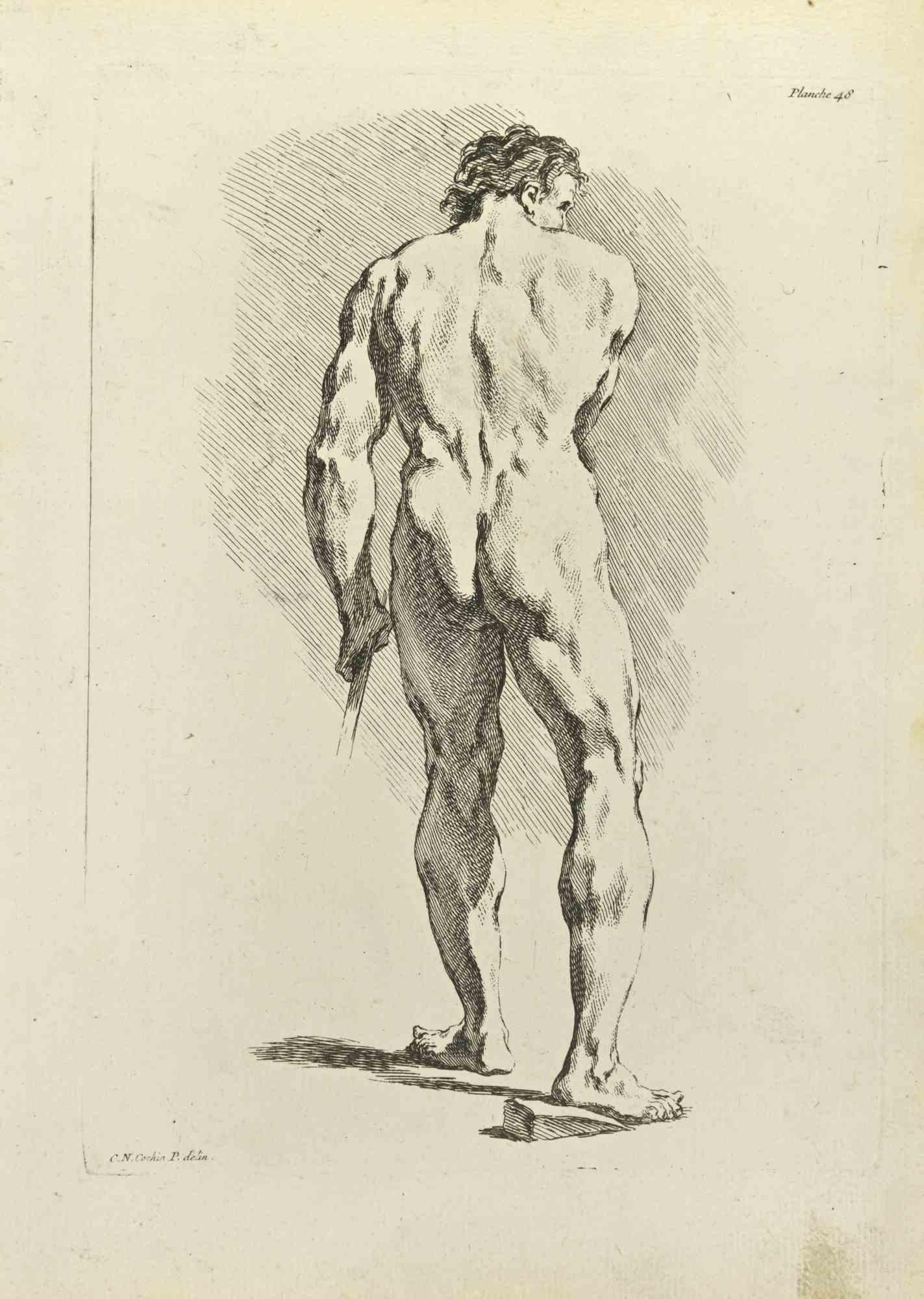 Anatomy Studies is an etching realized by Nicholas Cochin in 1755.

Good conditions with slight foxing and folding.

Signed in the plate.

The artwork is depicted through confident strokes.

The etching was realized for the anatomy study “JOMBERT,