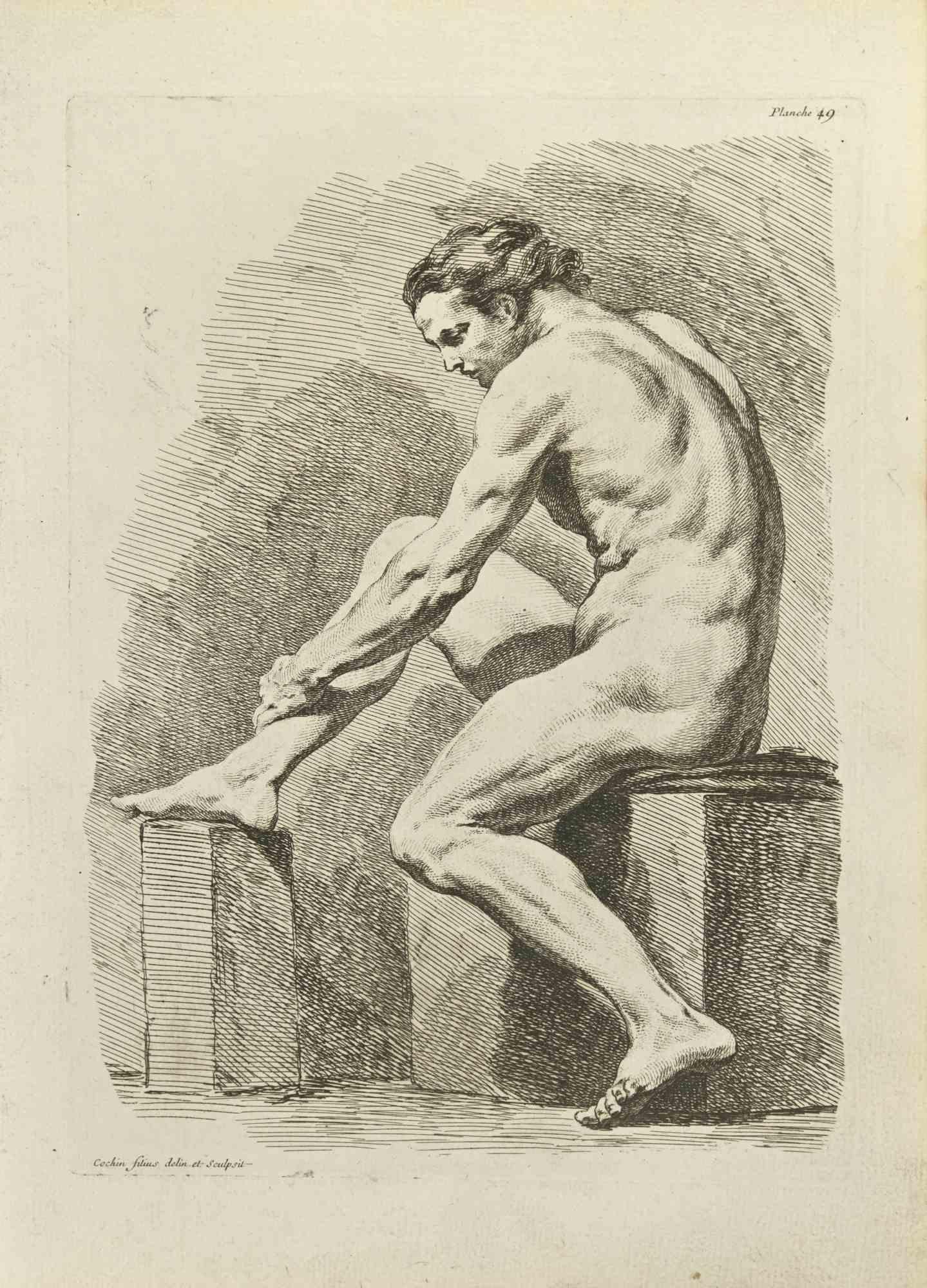 Anatomy Studies - Etching by Nicholas Cochin - 1755