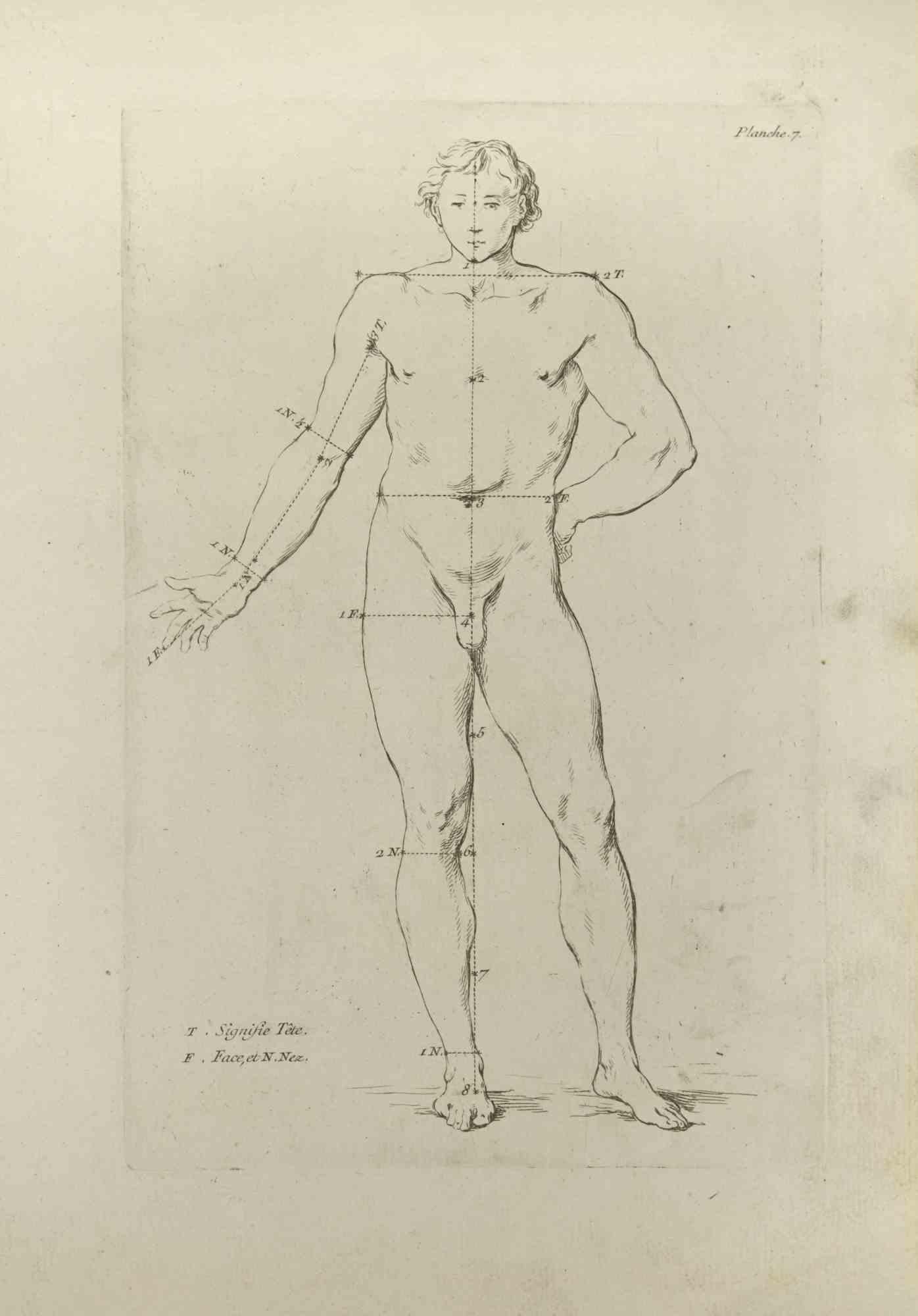 Anatomie-Studien ist eine Radierung von Nicholas Cochin aus dem Jahr 1755.

Guter Zustand mit Stockflecken und Falten.

Das Kunstwerk wird mit sicheren Strichen dargestellt.

Die Radierung wurde für die Anatomie-Studie "JOMBERT, Charles-Antoine