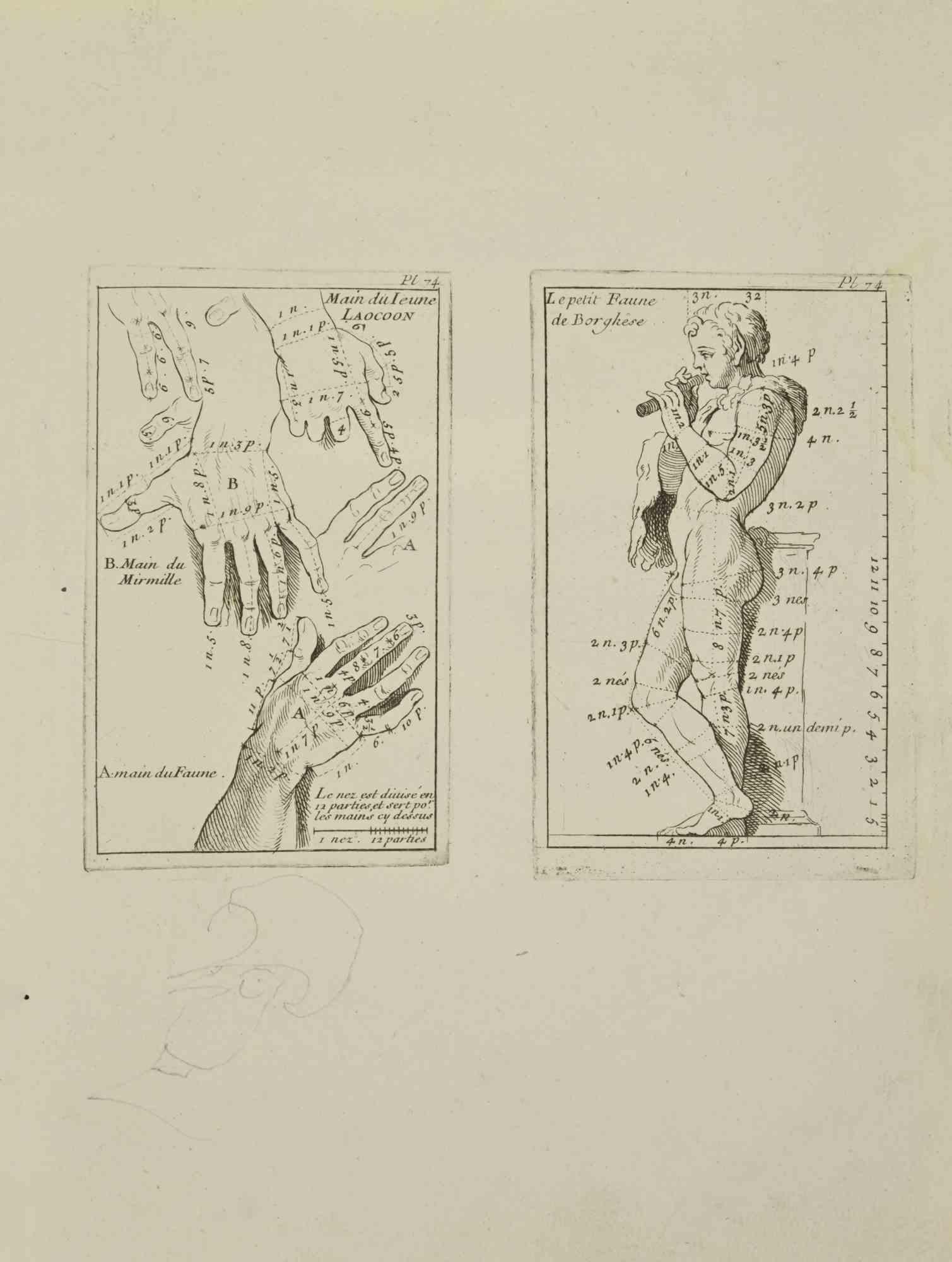 Anatomy Studies is an etching realized by Nicholas Cochin in 1755.

Good conditions with foxing and folding.

The artwork is depicted through confident strokes.

The etching was realized for the anatomy study “JOMBERT, Charles-Antoine (1712-1784) -