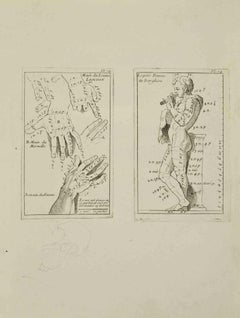 Anatomiestudien – Radierung von Nicholas Cochin – 1755