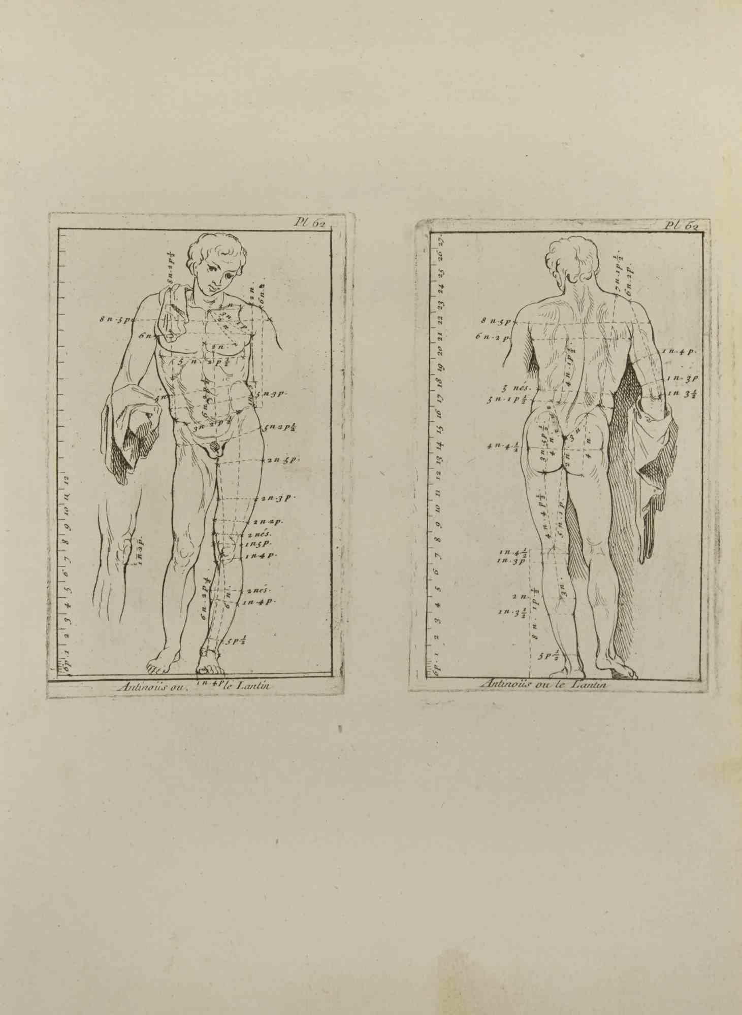 Anatomie-Studien ist eine Radierung von Nicholas Cochin aus dem Jahr 1755.

Guter Zustand mit Stockflecken und Falten.

Das Kunstwerk wird mit sicheren Strichen dargestellt.

Die Radierung wurde für die Anatomie-Studie "JOMBERT, Charles-Antoine