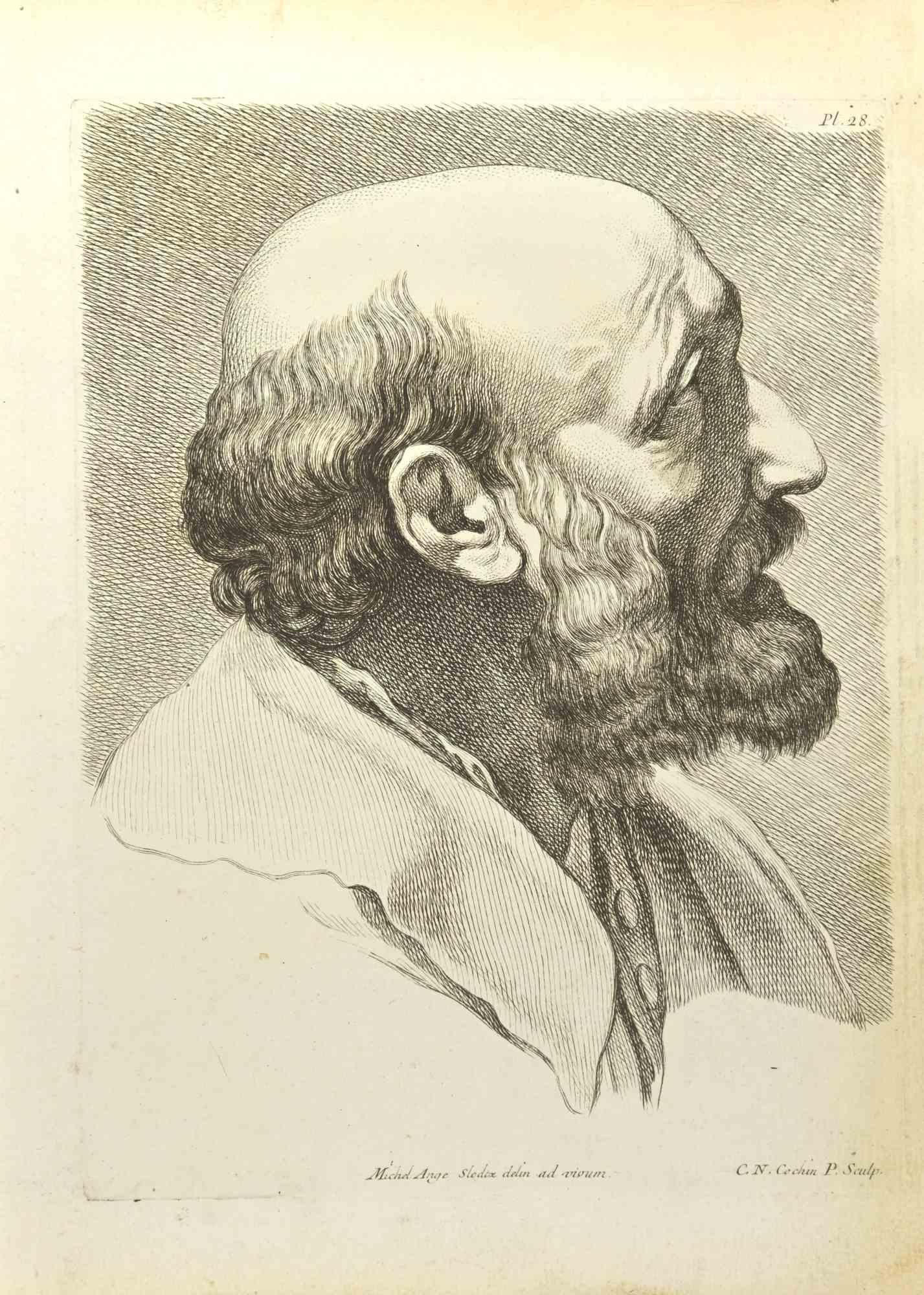 Portrait after Michelangelo is an etching realized by Nicholas Cochin in 1755.

Good conditions.

Signed in plate.

The artwork is depicted through confident strokes.

The etching was realized for the anatomy study “JOMBERT, Charles-Antoine