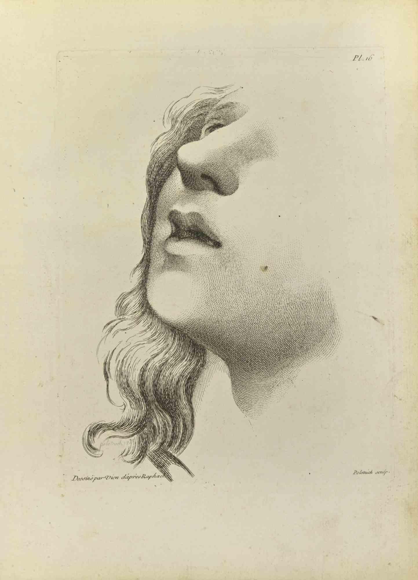 Portrait after Raphael is an etching realized by Jean Francois Poletnich in 1755.

Signed in the plate.

Good conditions with foxing.

The artwork is depicted through confident strokes.

The etching was realized for the anatomy study “JOMBERT,