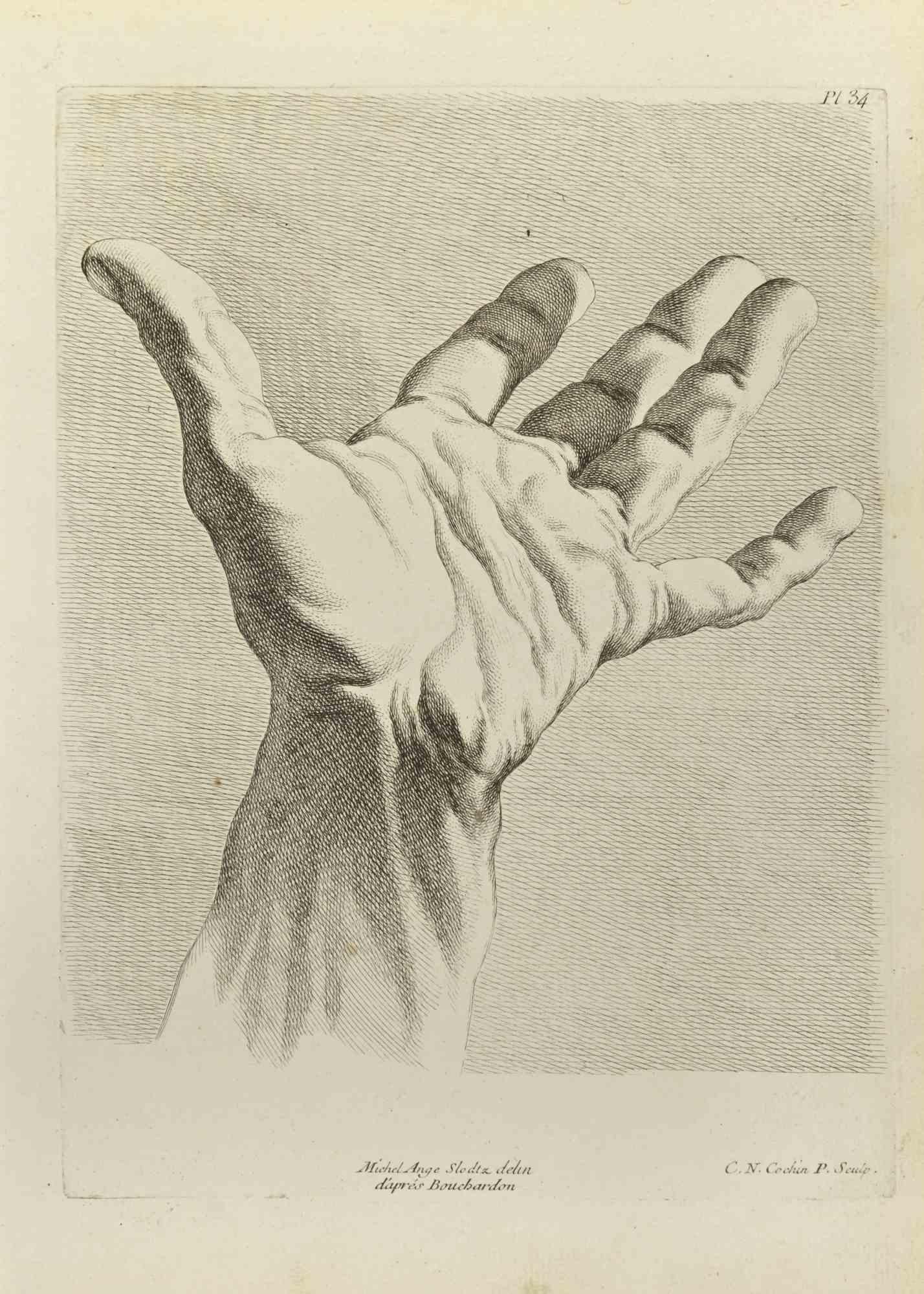 The Study of Hand after Bouchardon is an etching realized by Nicholas Cochin in 1755.

Signed on the plate.

Good conditions.

The artwork is depicted through confident strokes.

The etching was realized for the anatomy study “JOMBERT,