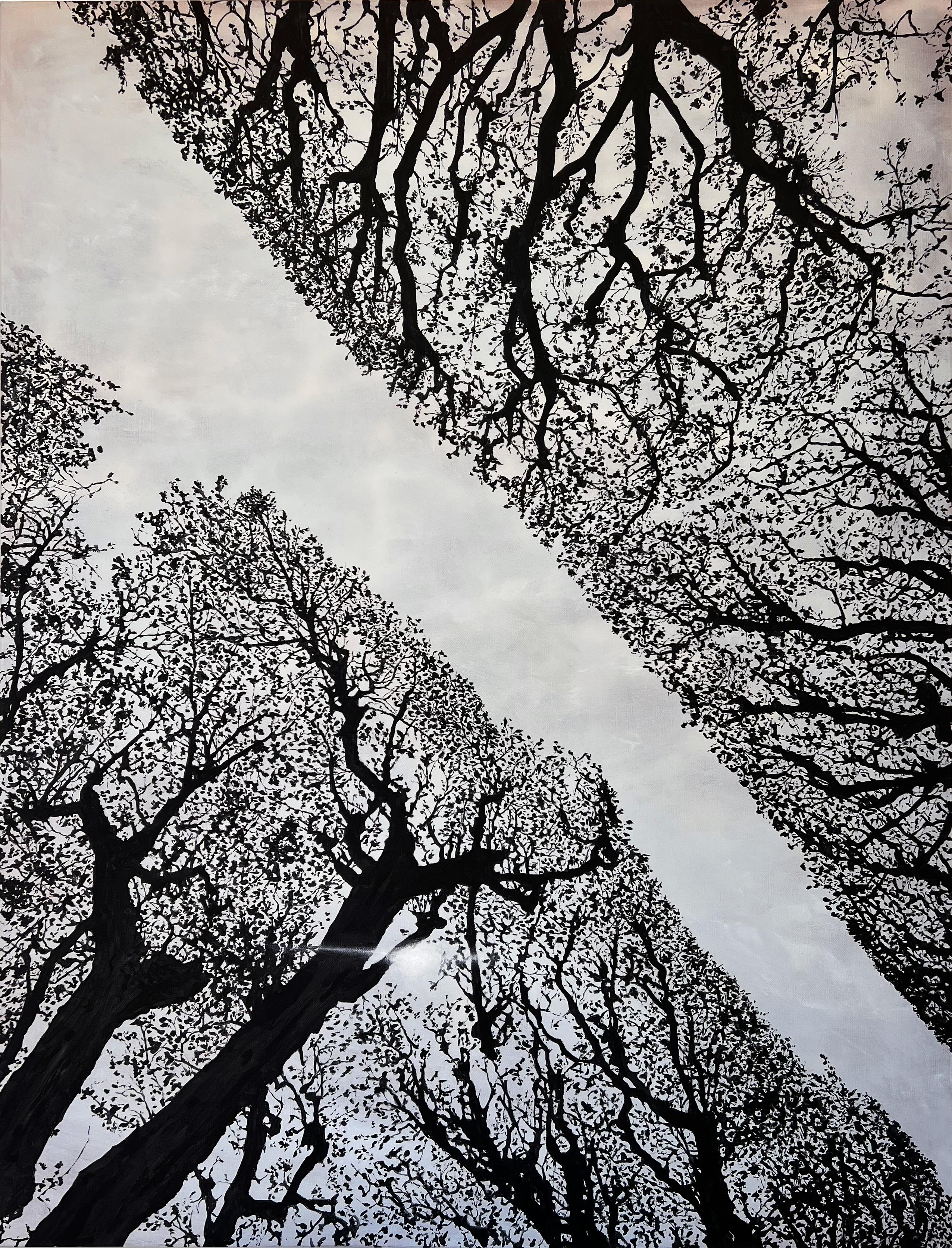 "Jardin Des Plantes" (Grafica, Nero, Blu, Esterno, Paesaggio, Cielo, Alberi)
