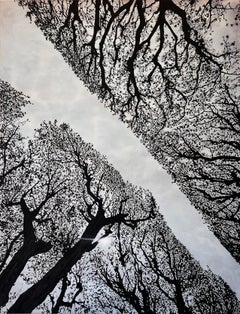 "Jardin Des Plantes" (Grafica, Nero, Blu, Esterno, Paesaggio, Cielo, Alberi)