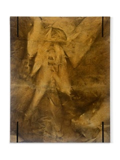 "Phylum Four" (abstrakt, Farbstoff, natürlich, Ocker, Gold, Umbra, Braun, antikes Leinen)