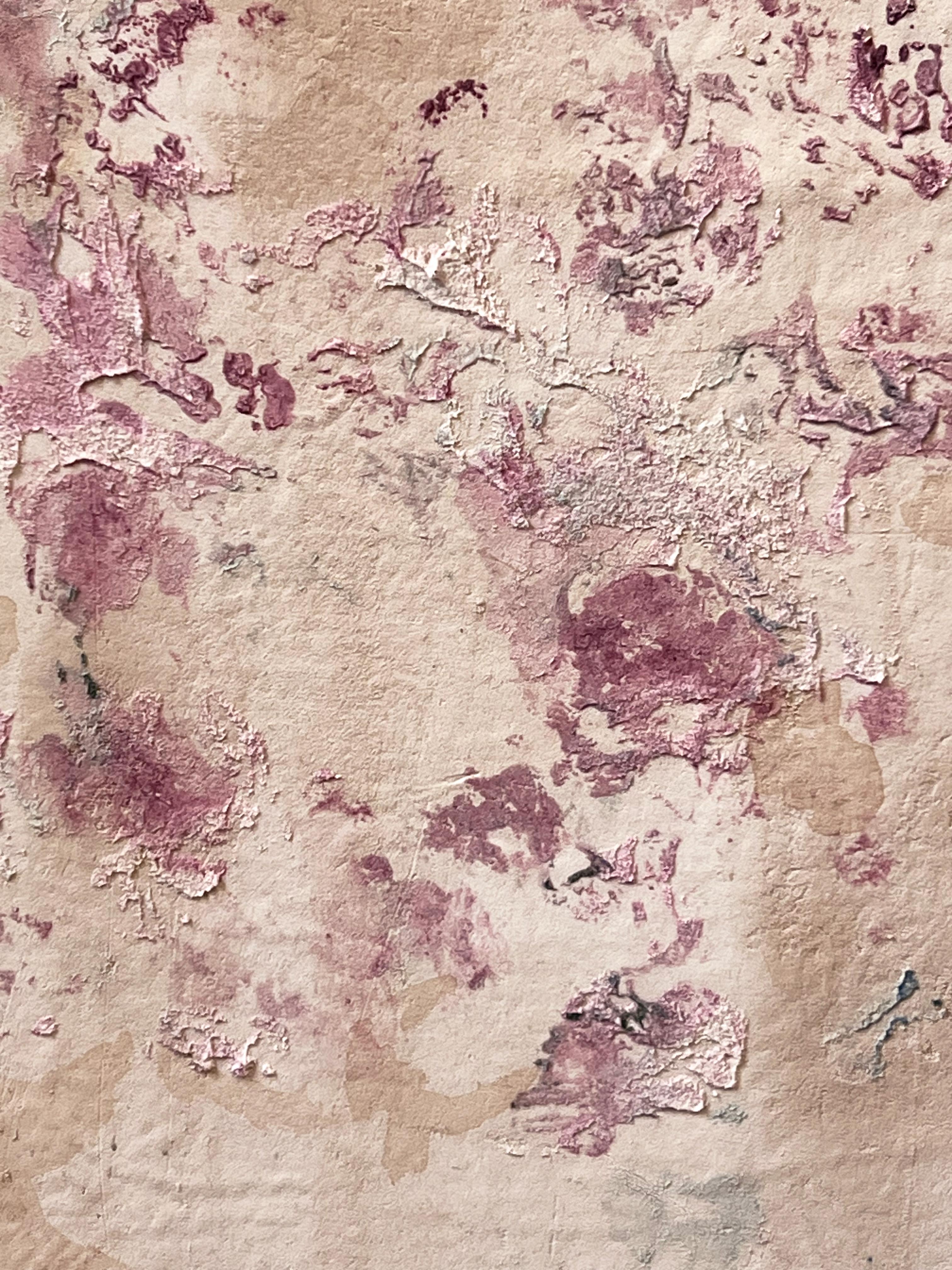 ROSA PRISTINA Latin for 