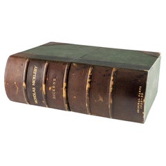 "Nicholas Nickleby" 1st Edition Charles Dickens Serialized 19 Volumes Great!