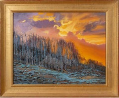 Aspen, Salvia y Sol