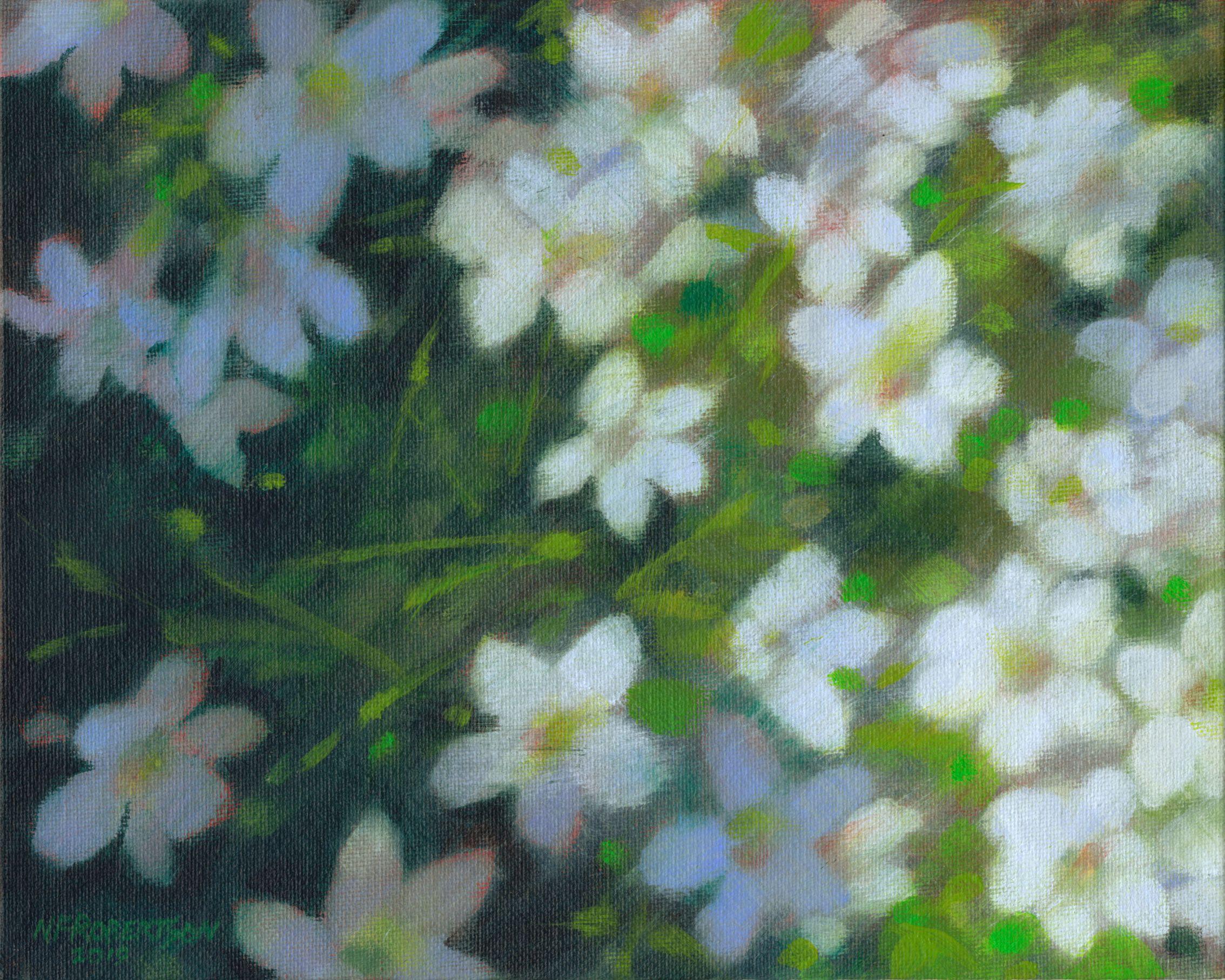 These ground hugging flowers were spotted while staying at Malham Cove, Yorkshire UK. I assume they are some type of wild Saxifrage as they were growing in a such a rugged place. I wanted to paint them as I originally saw them - fleetingly. Using my
