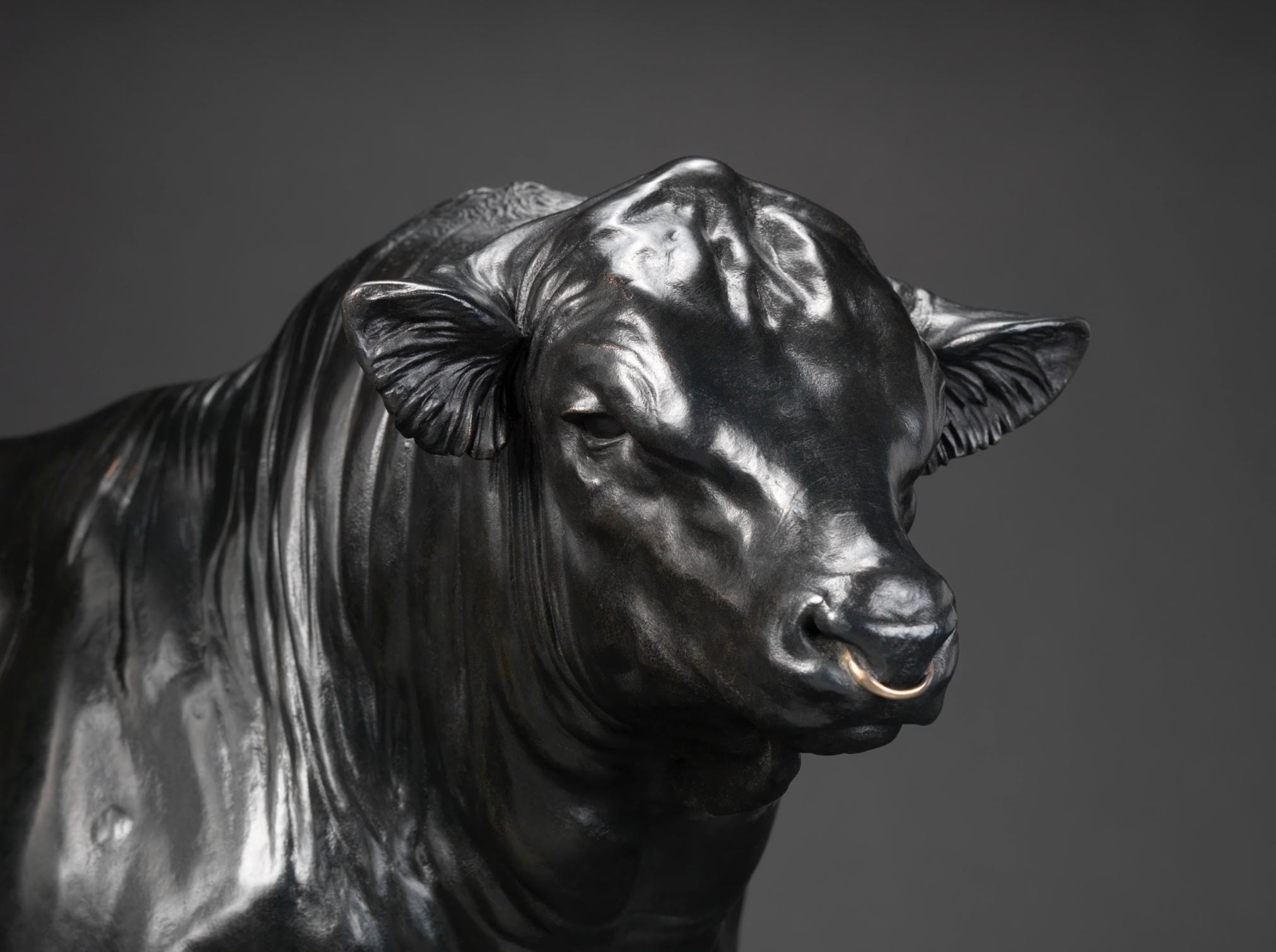 Toro Aberdeen Angus: Rosemead Jeronny - Sculpture di Nick Bibby