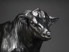 Taureau Aberdeen Angus : Rosemead Jeronny