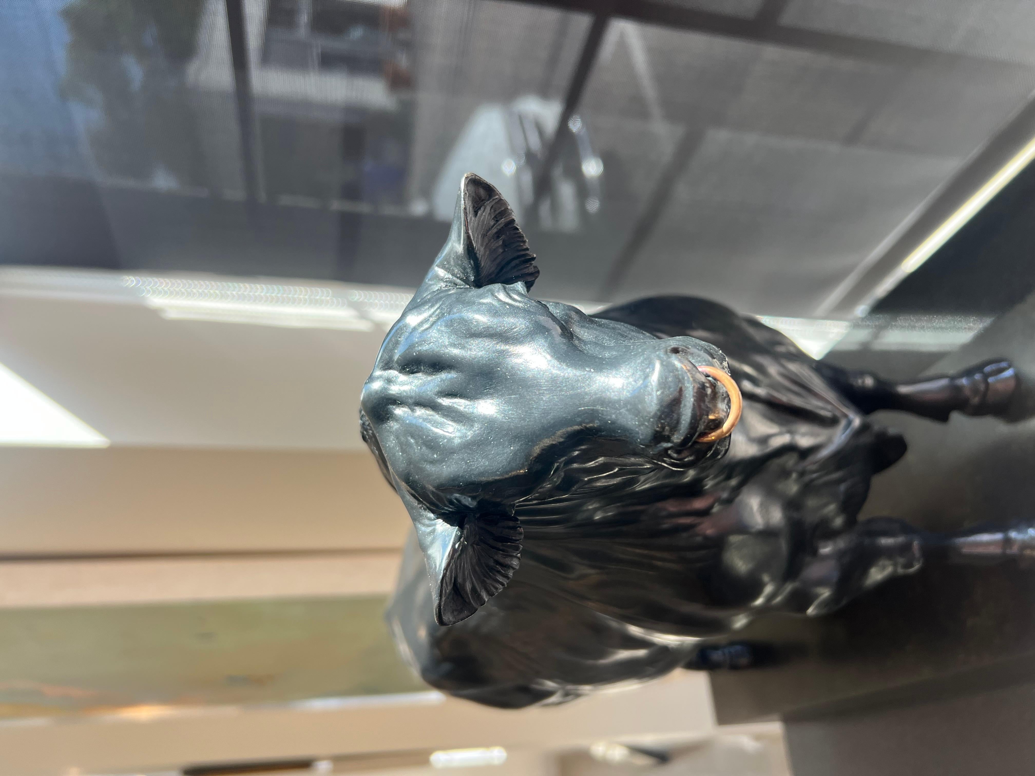 Autodidatta, Bibby è diventato uno dei migliori scultori di animali dell'Inghilterra. Vendendo la sua prima scultura all'età di 16 anni, Bibby ha intrapreso una carriera professionale che ha spaziato da direttore di un'importante azienda di figurine