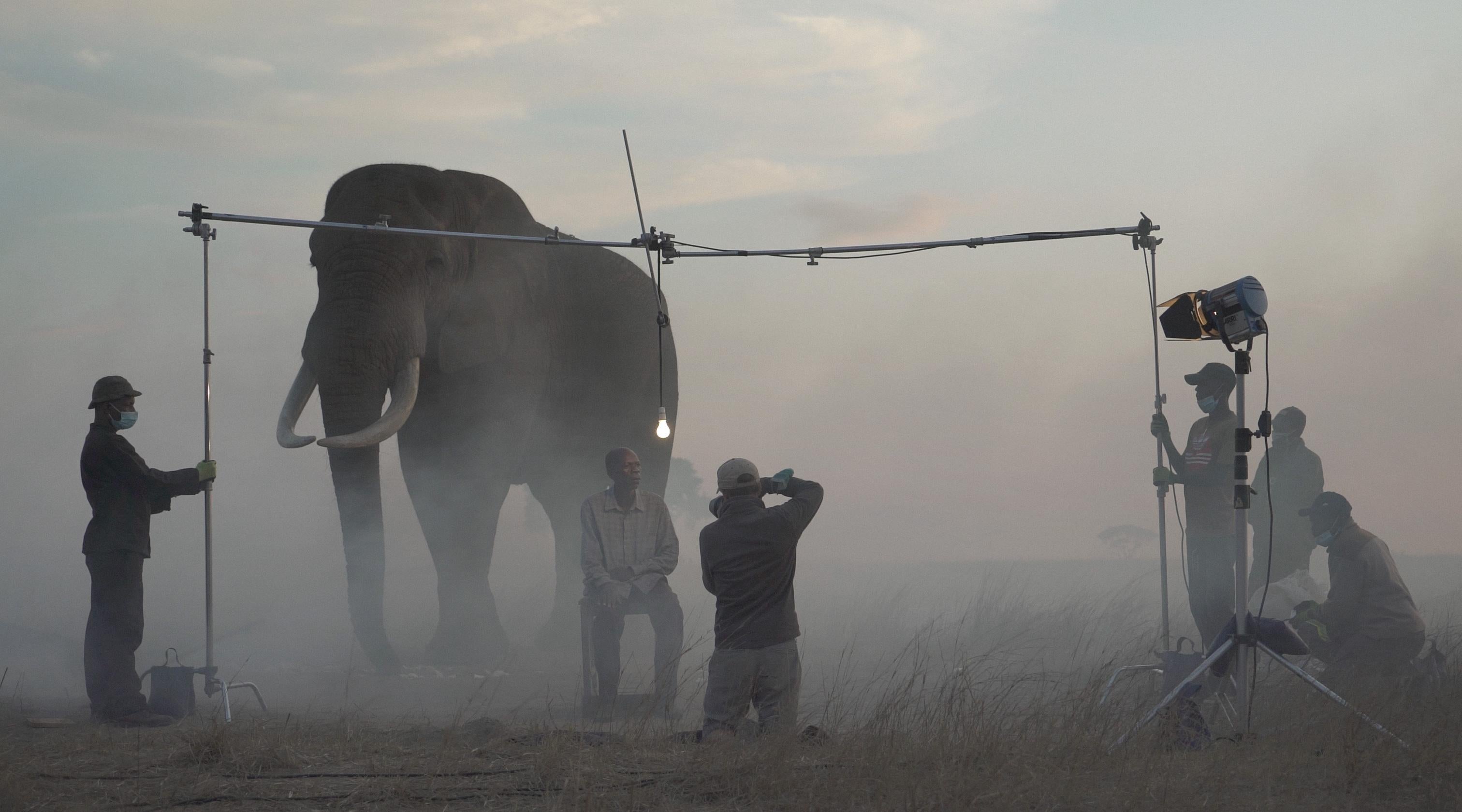 Alice, Stanley and Najin, Kenya, 2020 - Photograph by Nick Brandt