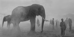 Bupa and People in Fog, Kenya, 2020