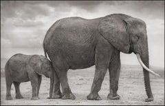 Elephant Mother and Baby at Leg, Amboseli – Nick Brandt, Africa, Elephant, Art