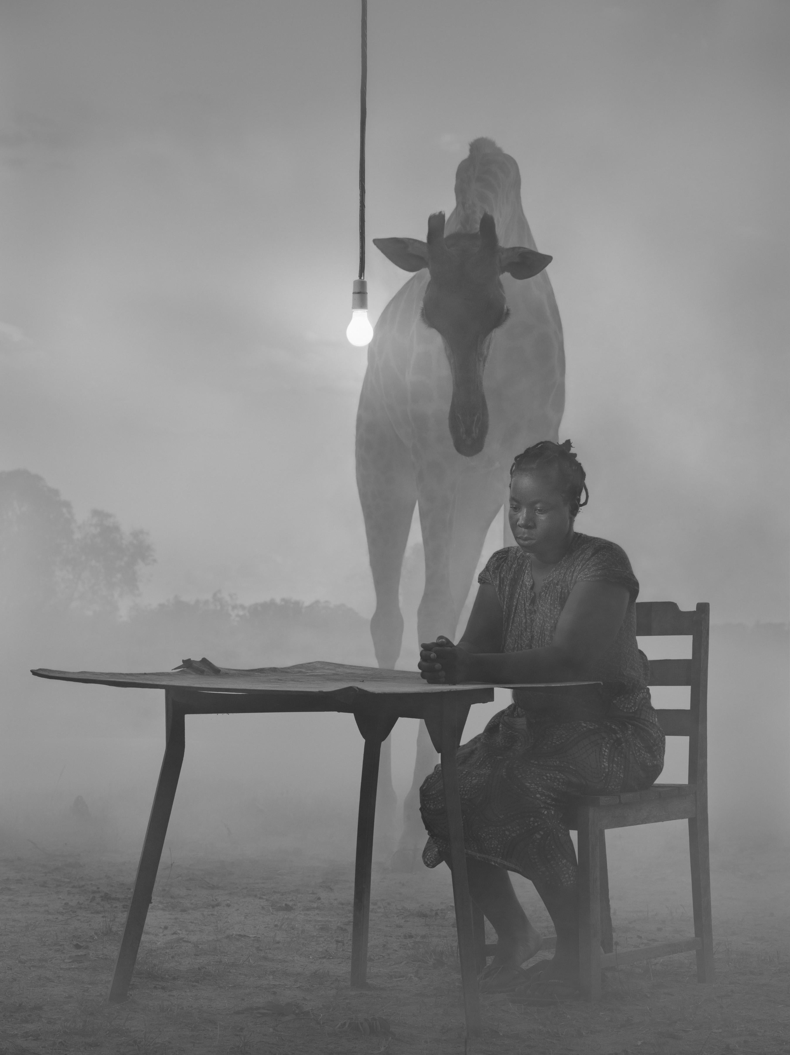 Nick Brandt Black and White Photograph - Kuda and Sky II, Zimbabwe, 2020