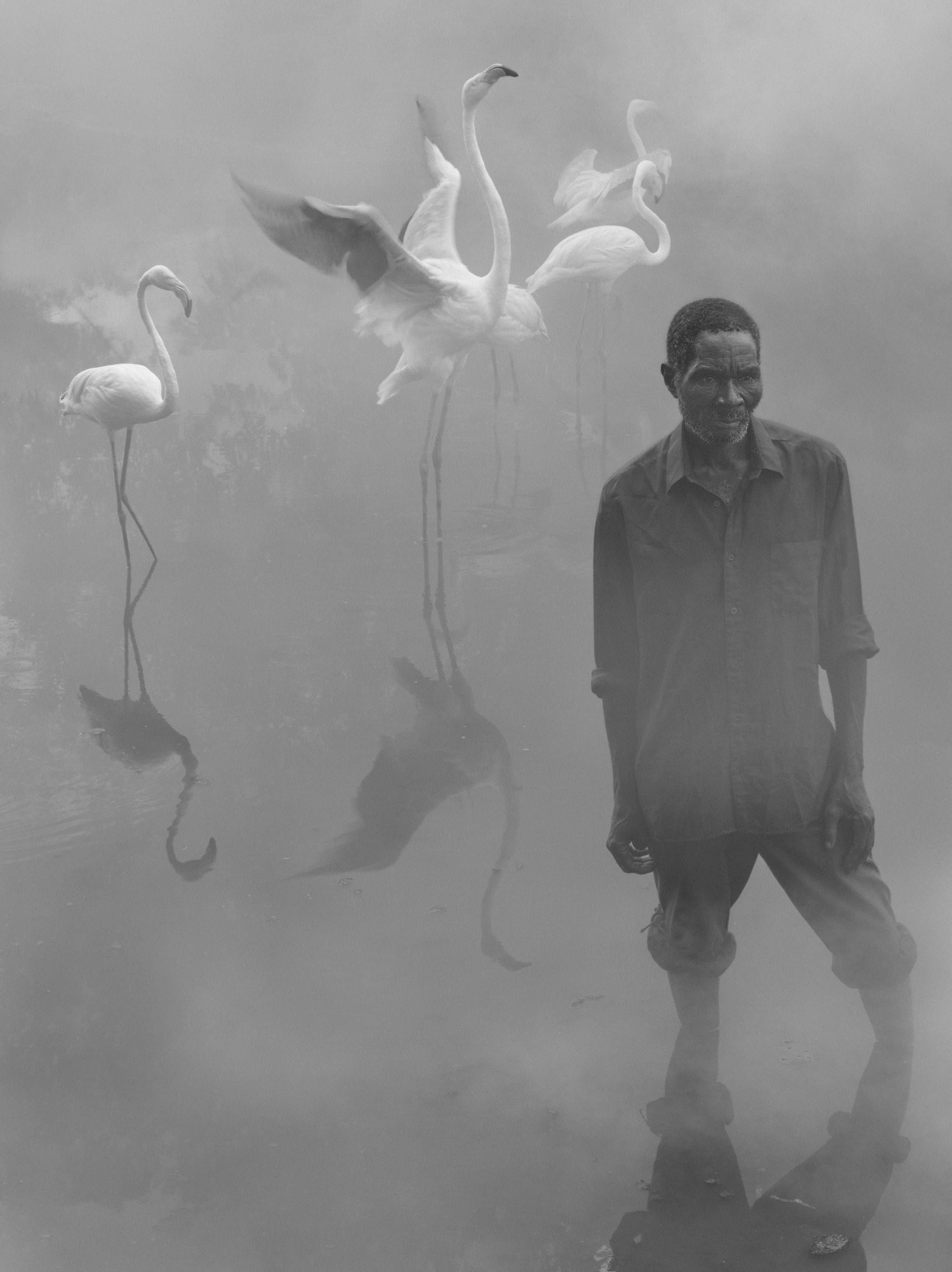 Nick Brandt Black and White Photograph - Patrick and Flamingos, Zimbabwe, 2020