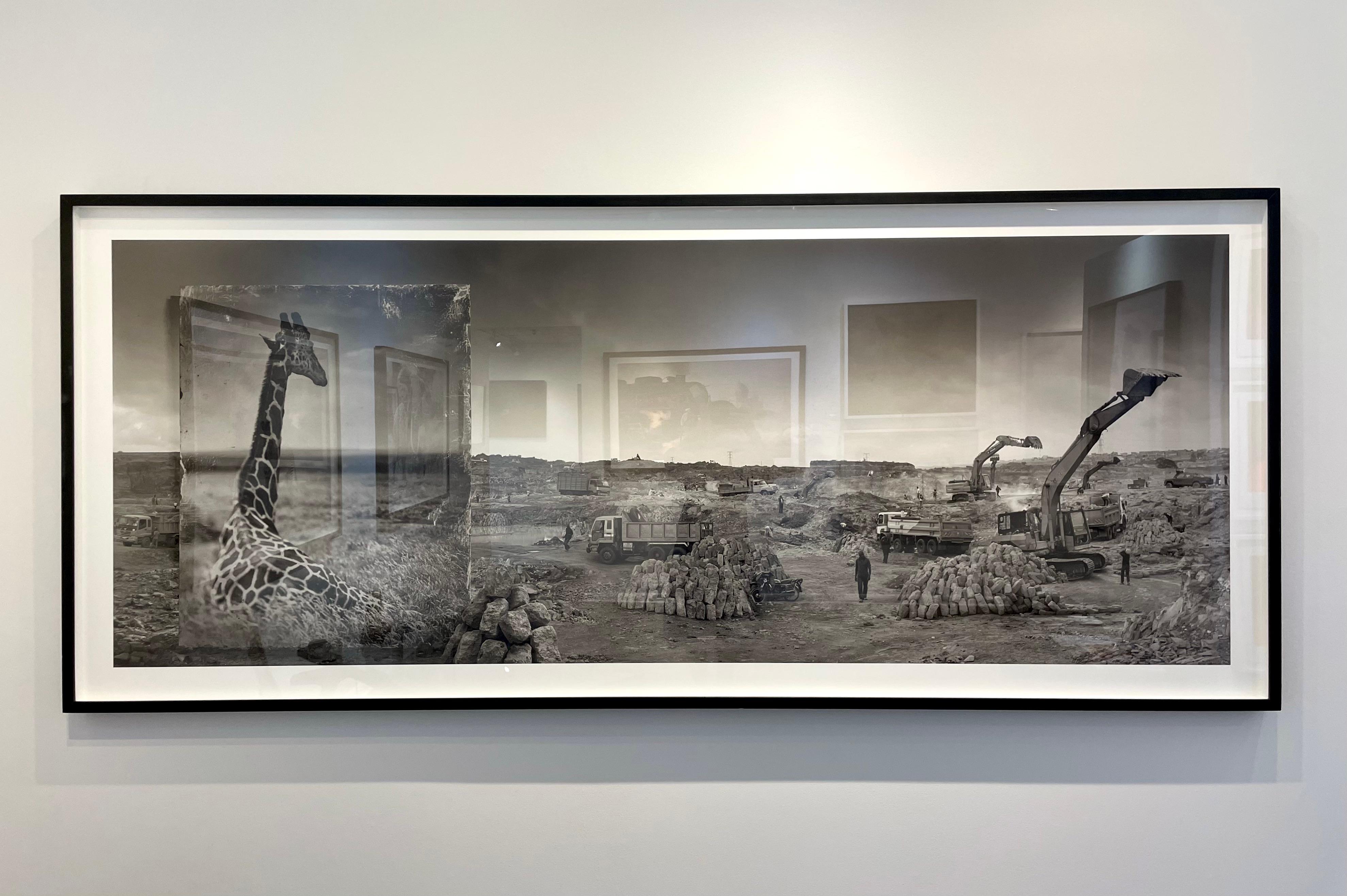 Cava con Giraffa - Photograph di Nick Brandt