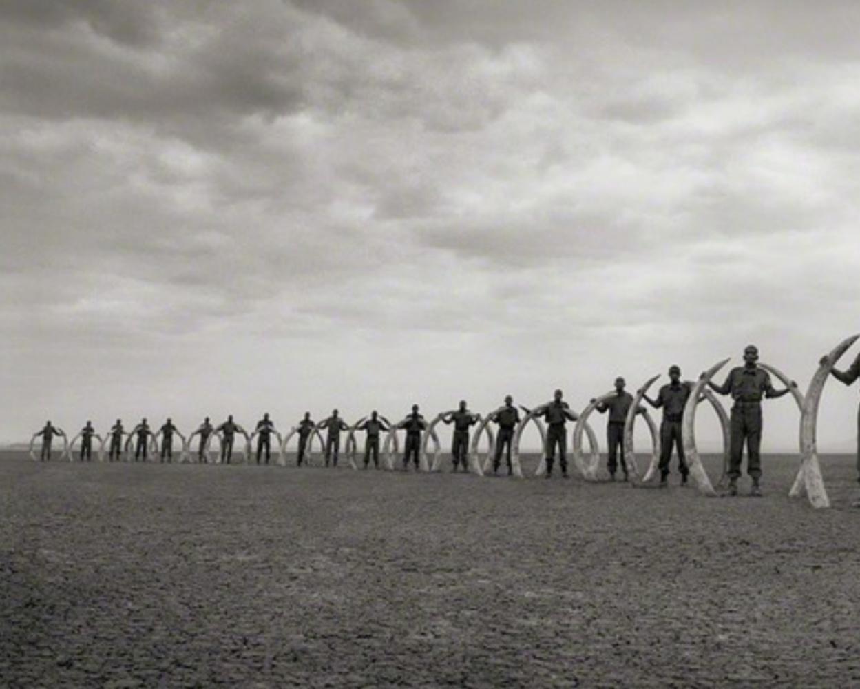 Rangers (Line Of) With Tusks Of Killed Elephants, Amboseli – Nick Brandt, Africa For Sale 1