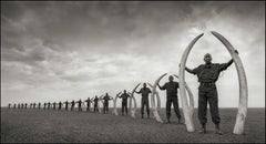 Rangers (Line Of) With Tusks Of Killed – Nick Brandt, Africa, Animal, Elephant