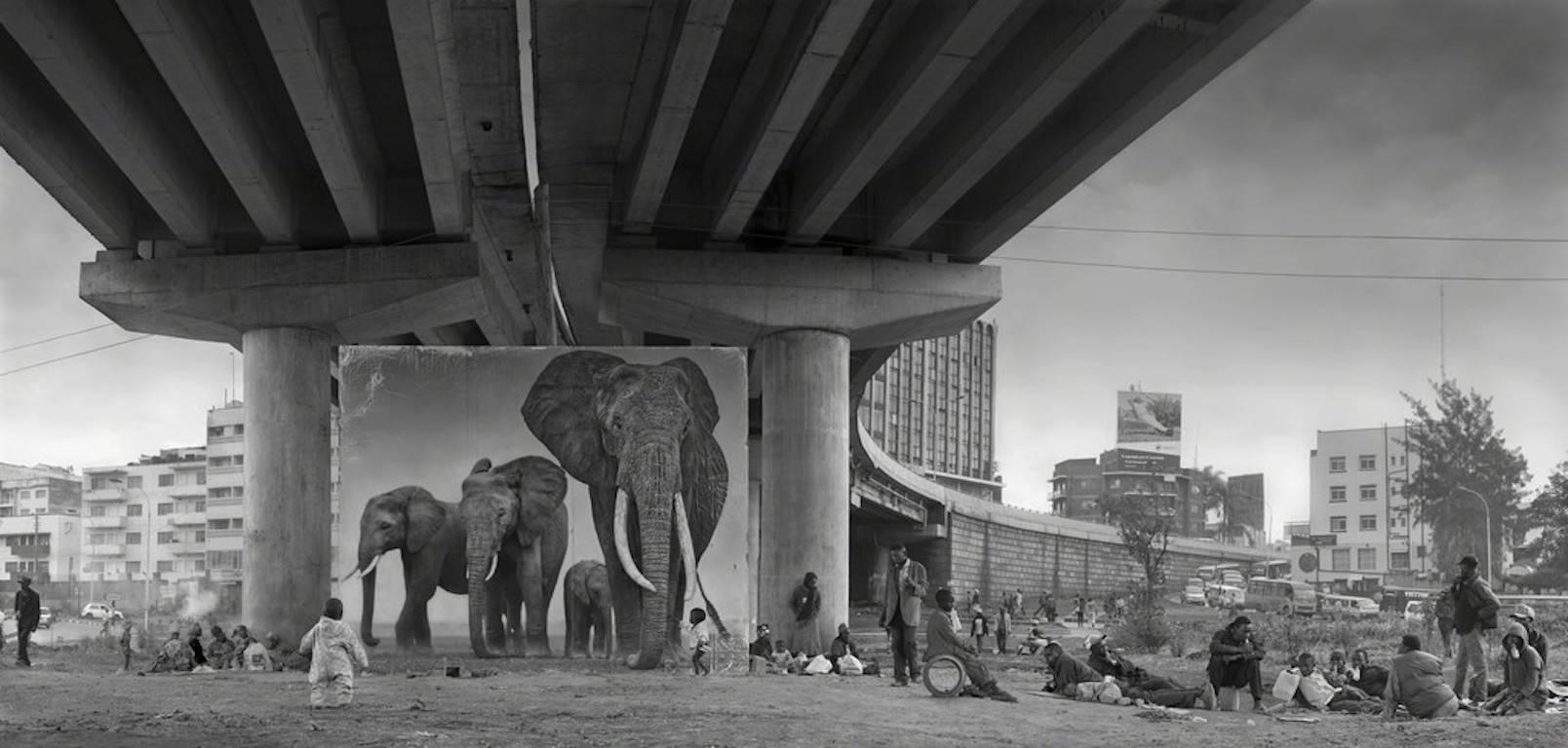 Underpass With Elephant (Lean back your life is on track)

Signed, numbered and dated on artist�’s label
Edition of 15

Born in England, Nick Brandt has devoted his photographic career to showing the disappearing natural world of East Africa, and its