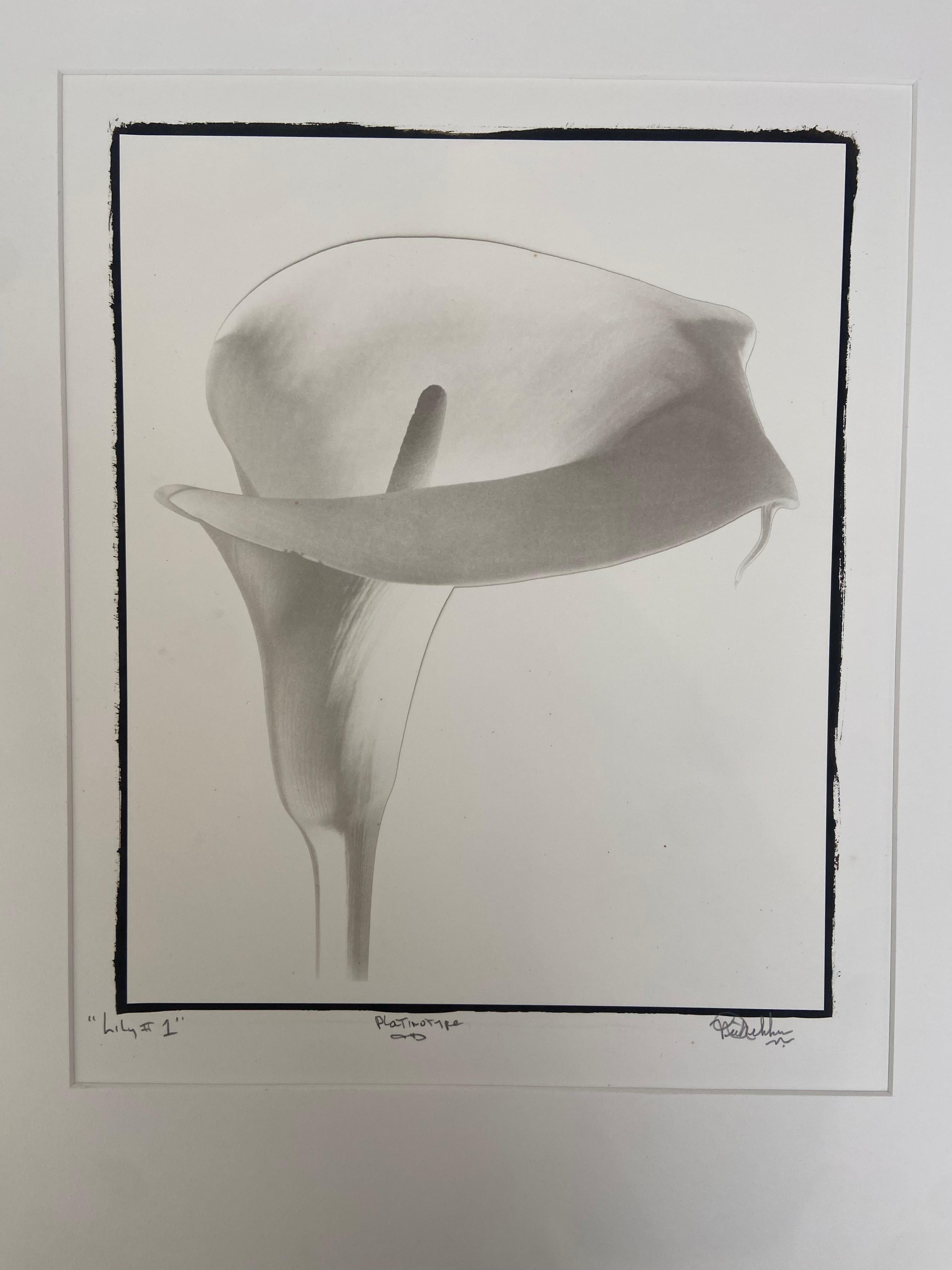 Nick Decker
Lily #1 (Platinotype), 1980, imprimé en 2006
photographie en noir et blanc
Dimensions de l'image : 12 x 9.75 pouces  (30.5 x 24.8 cm)
Dimensions montées : 20 x 16 pouces  (50,8 x 40,6 cm)
Dimensions du papier : 16 x 14 pouces  (40.6 x