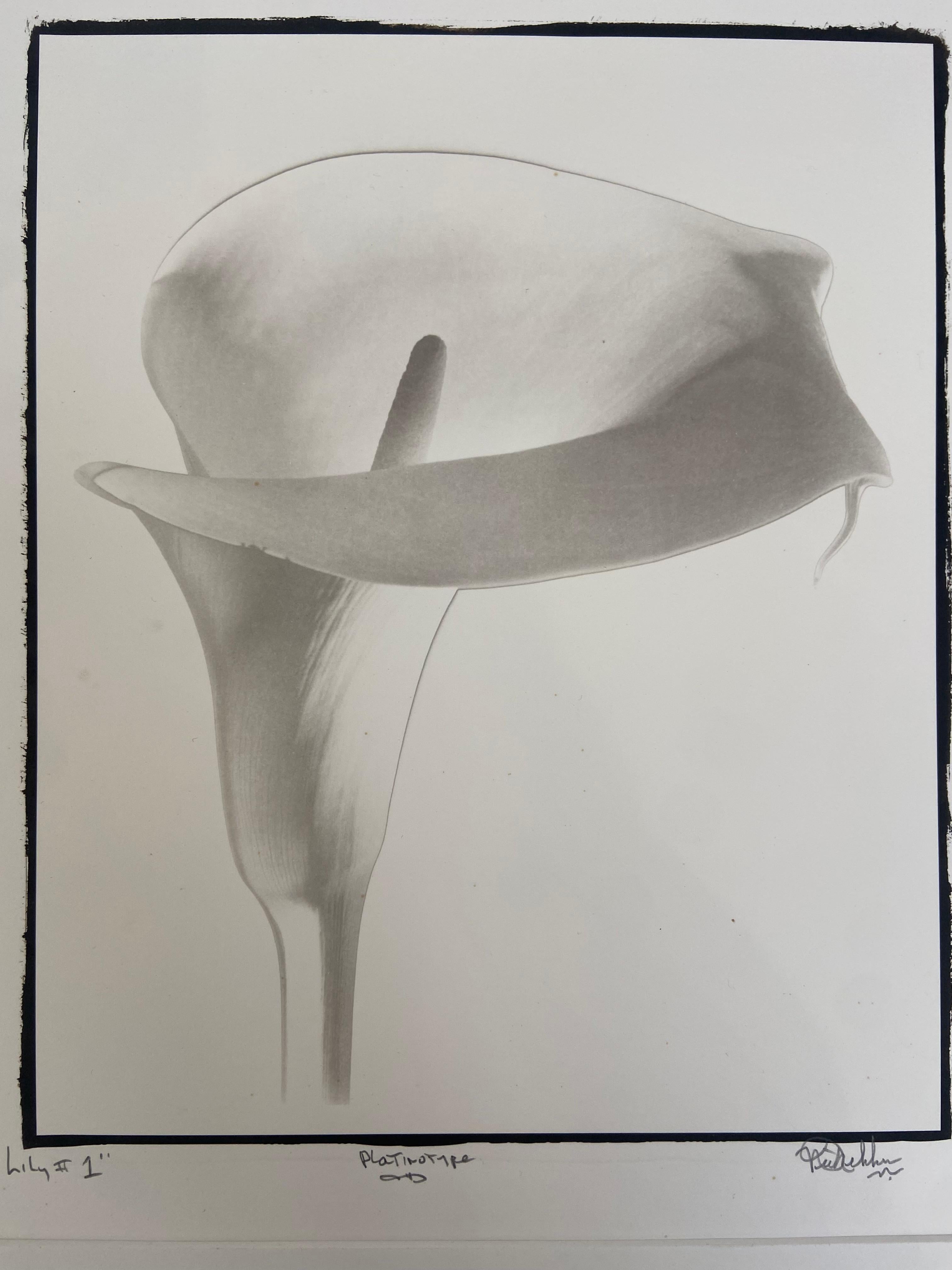 Nick Decker  Black and White Photograph - Lily #1