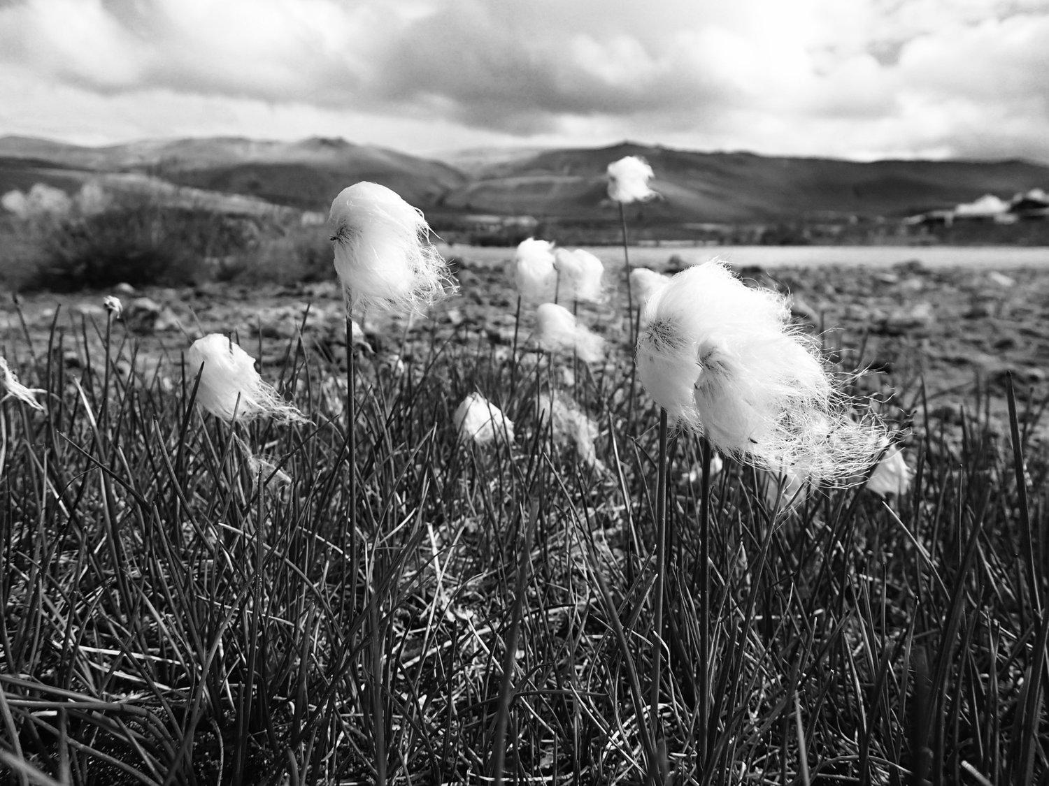 Nick Schleich Landscape Photograph - Untitled (Iceland Series) 