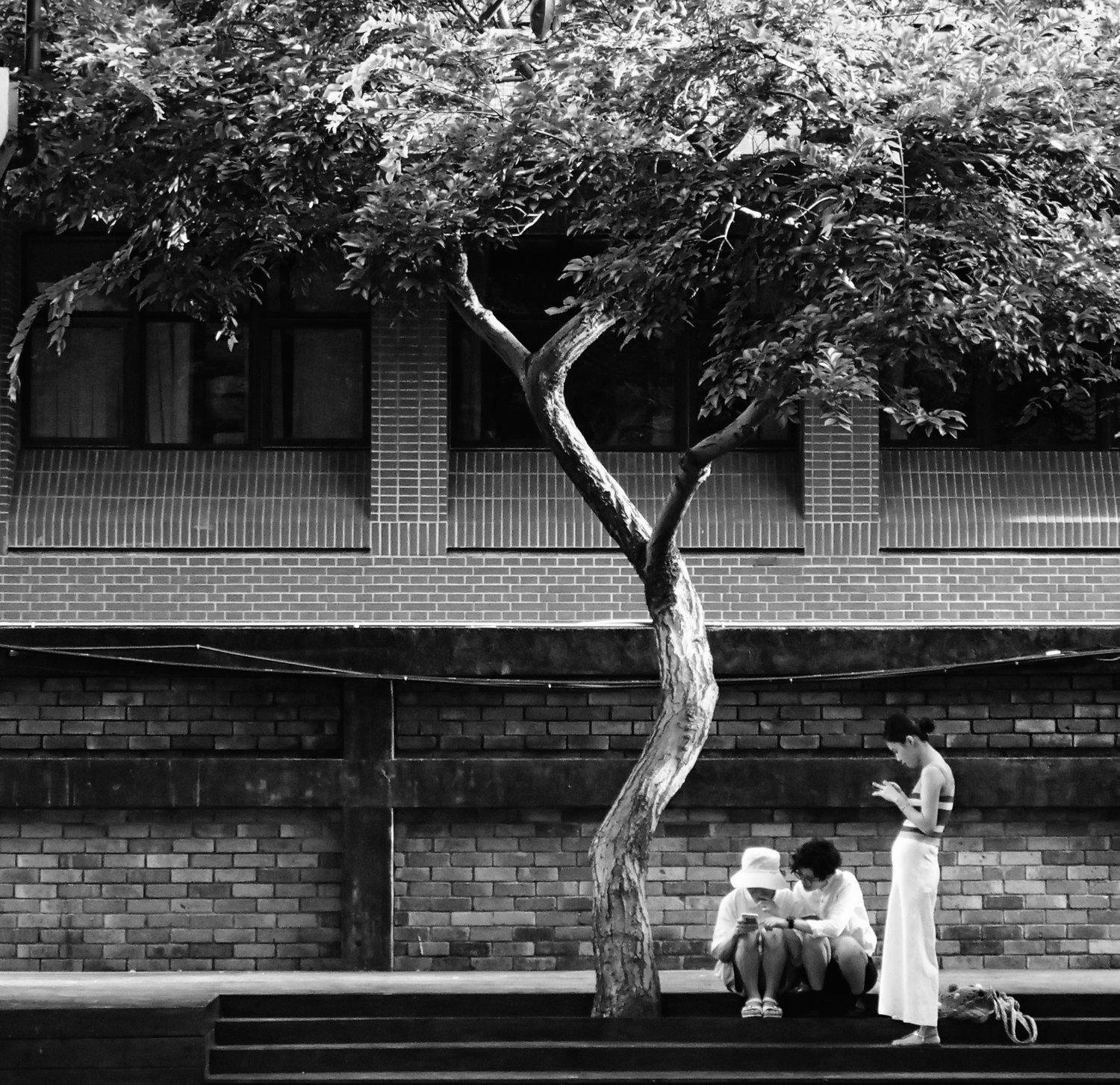 Untitled  (Taipei Series) - Photograph by Nick Schleich