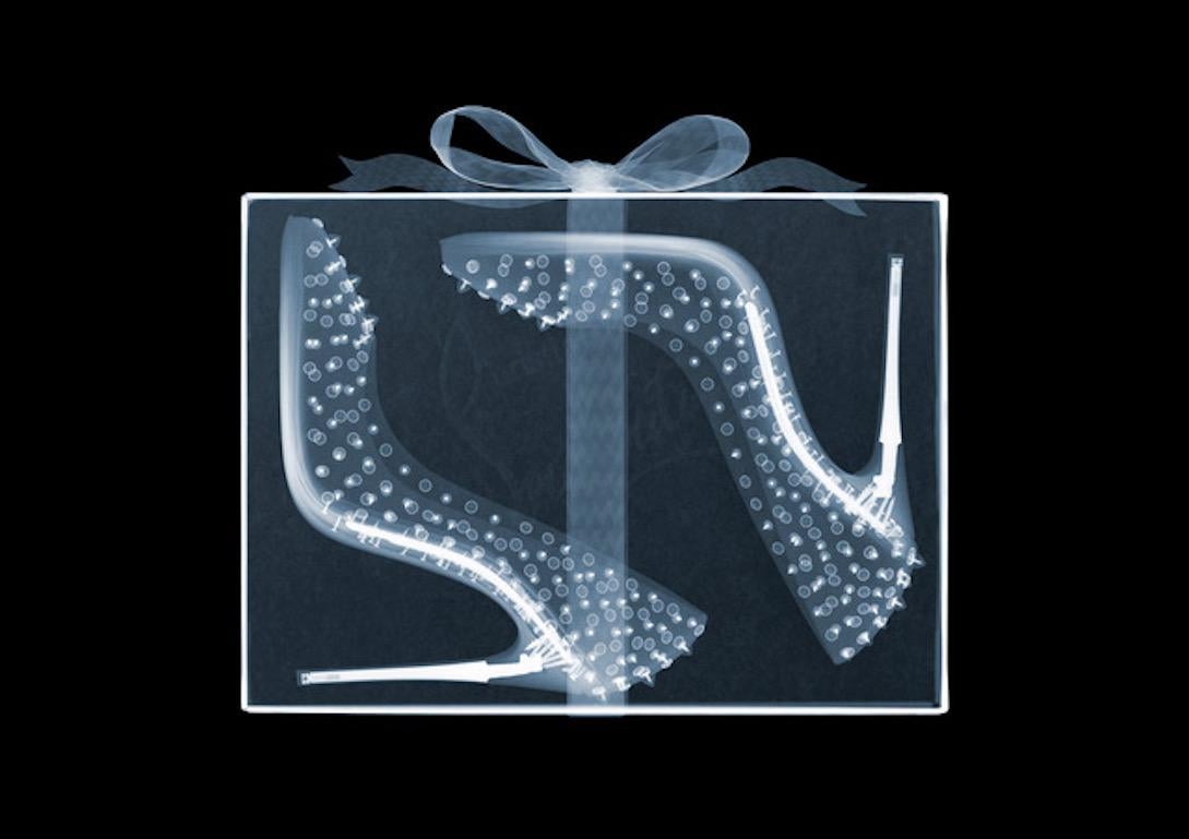 Christian Louboutin - Mixed Media Art by Nick Veasey