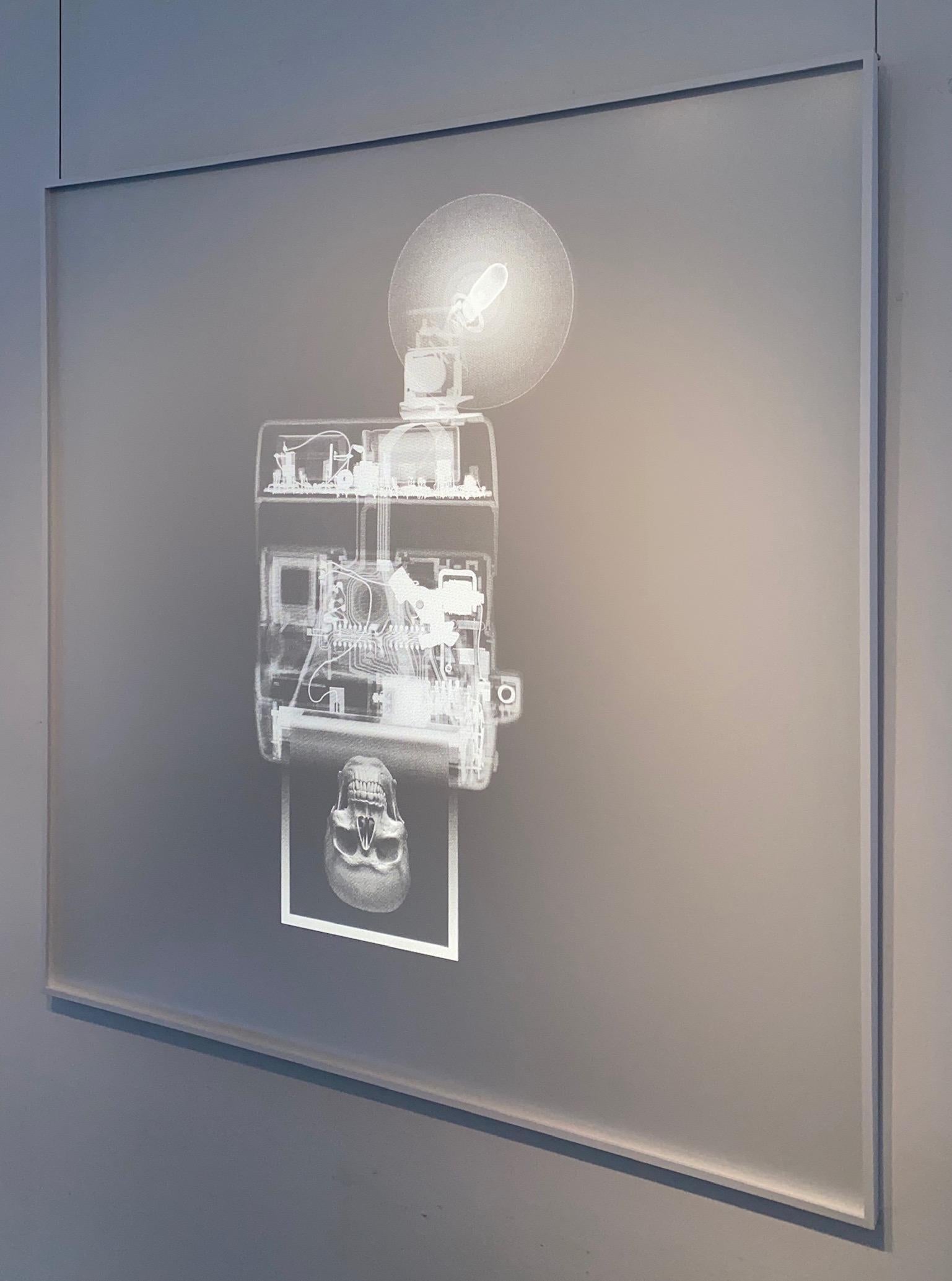leur Flash - Contemporain Print par Nick Veasey