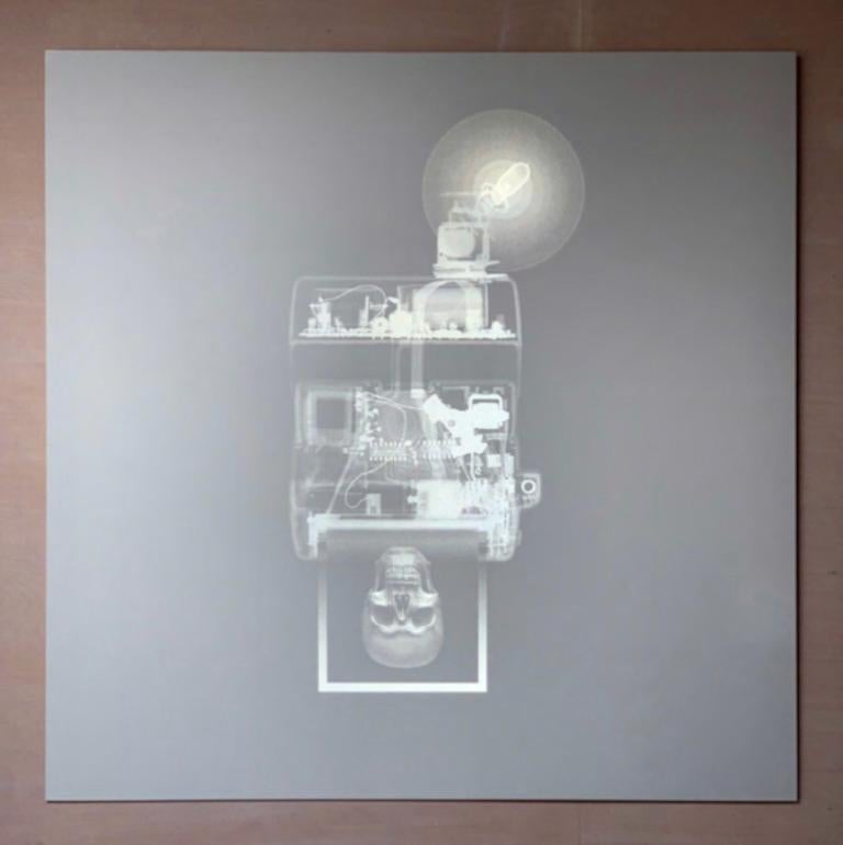 Nick Veasey
Flash
47 x 47 pouces, Edition de 9
Image radiographique imprimée en blanc sur un vinyle rétroréfléchissant. 
Une pièce d'art prismatique de haute intensité qui interagit constamment avec la lumière.
Signé et numéroté par