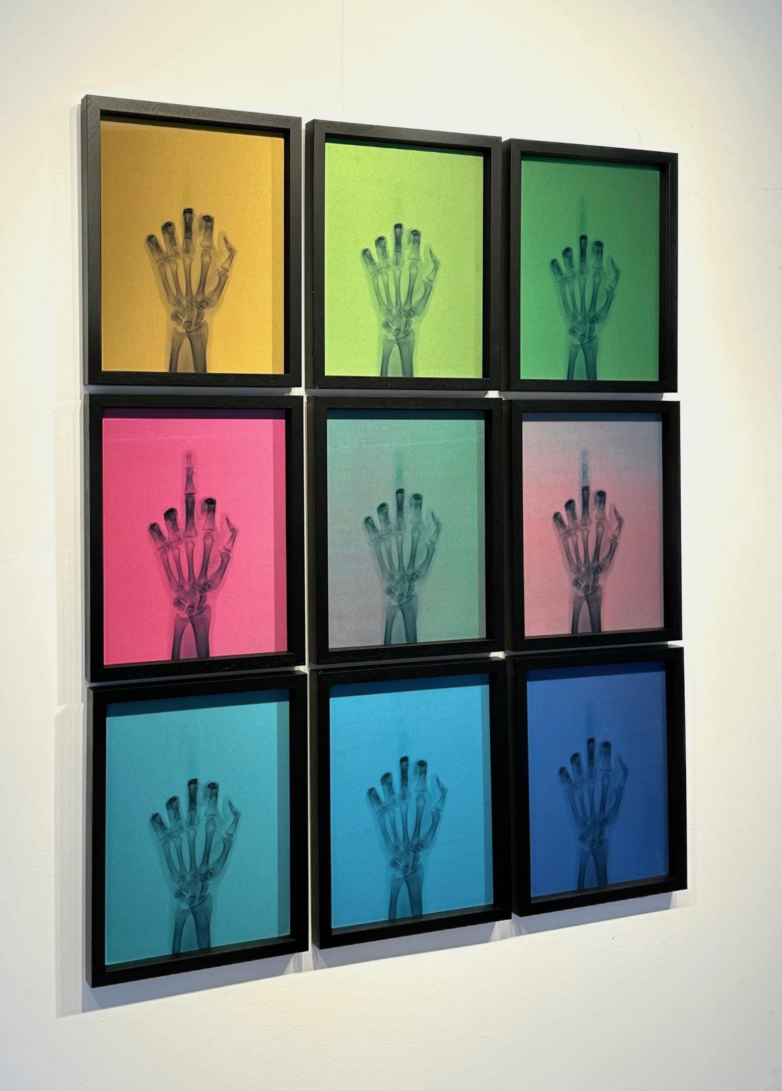 The Bird in Colour (Set of 9) - Mixed Media Art by Nick Veasey