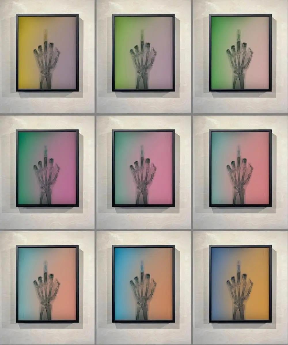 Vogel in Farbe – komplettes Set