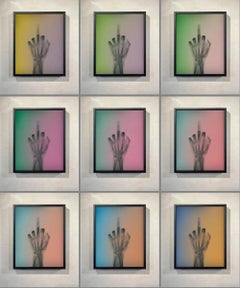 Vogel in Farbe – komplettes Set