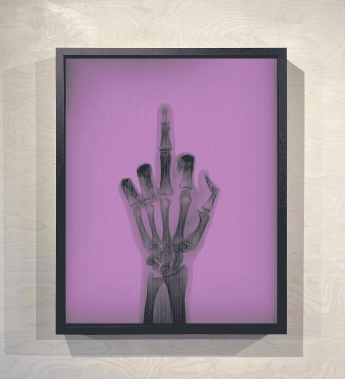 Pájaro en color nº 2 TM - Photograph de Nick Veasey