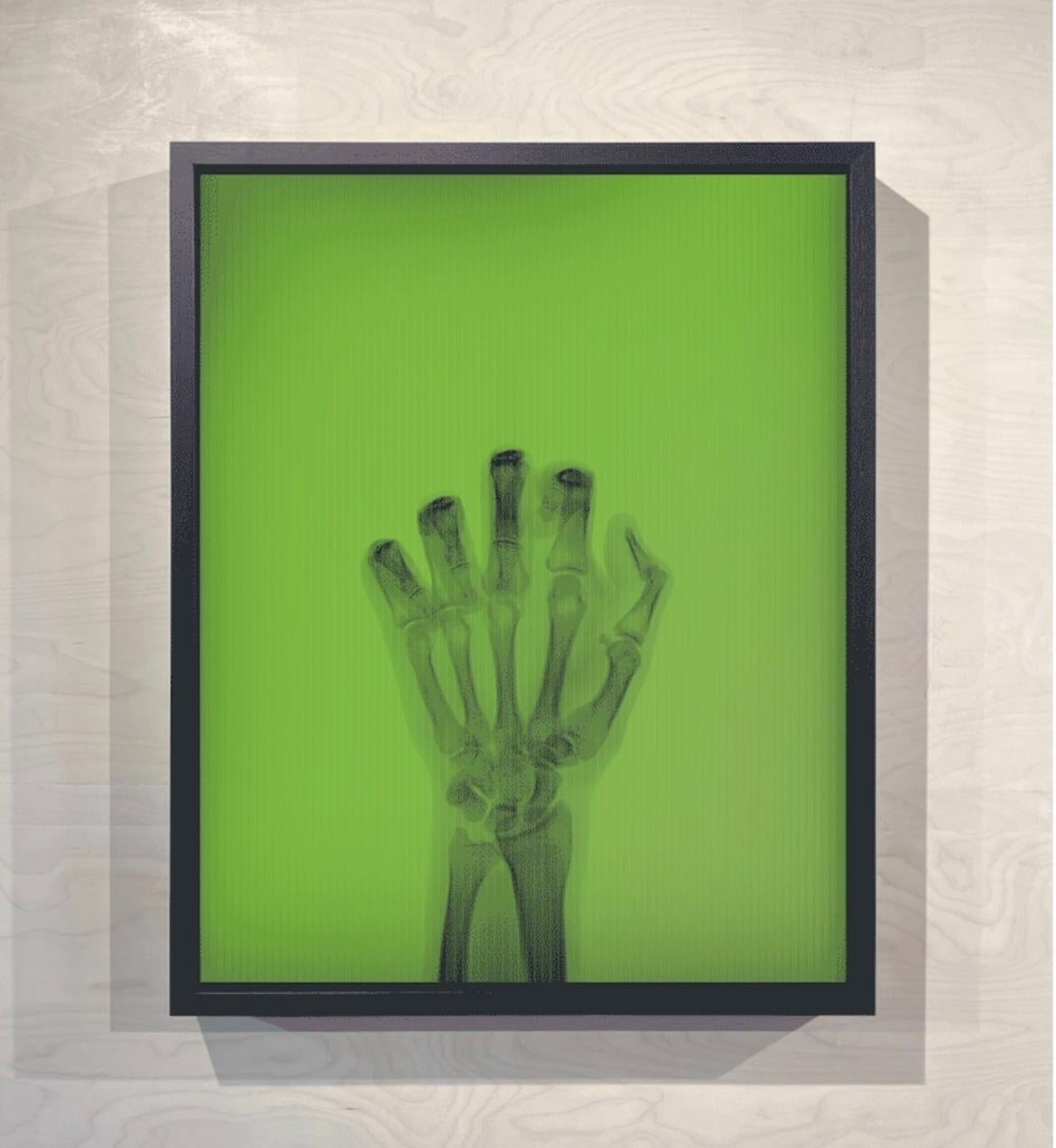 Pájaro en color nº 2 TM - Photograph Posmoderno de Nick Veasey