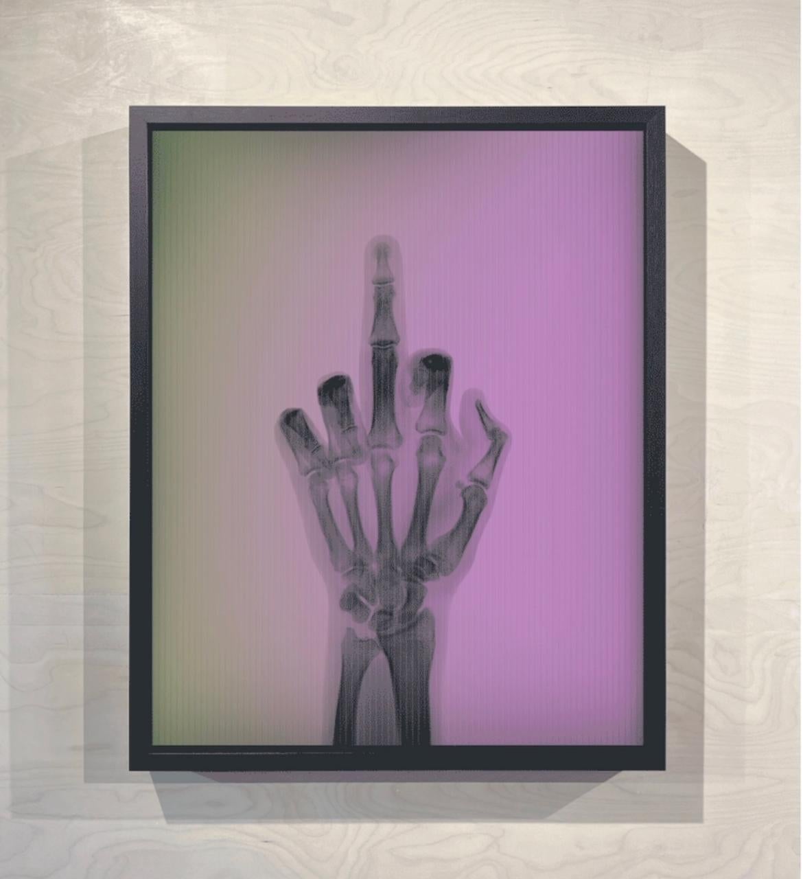 Pájaro en color nº 2 TM - Color Photograph Verde de Nick Veasey