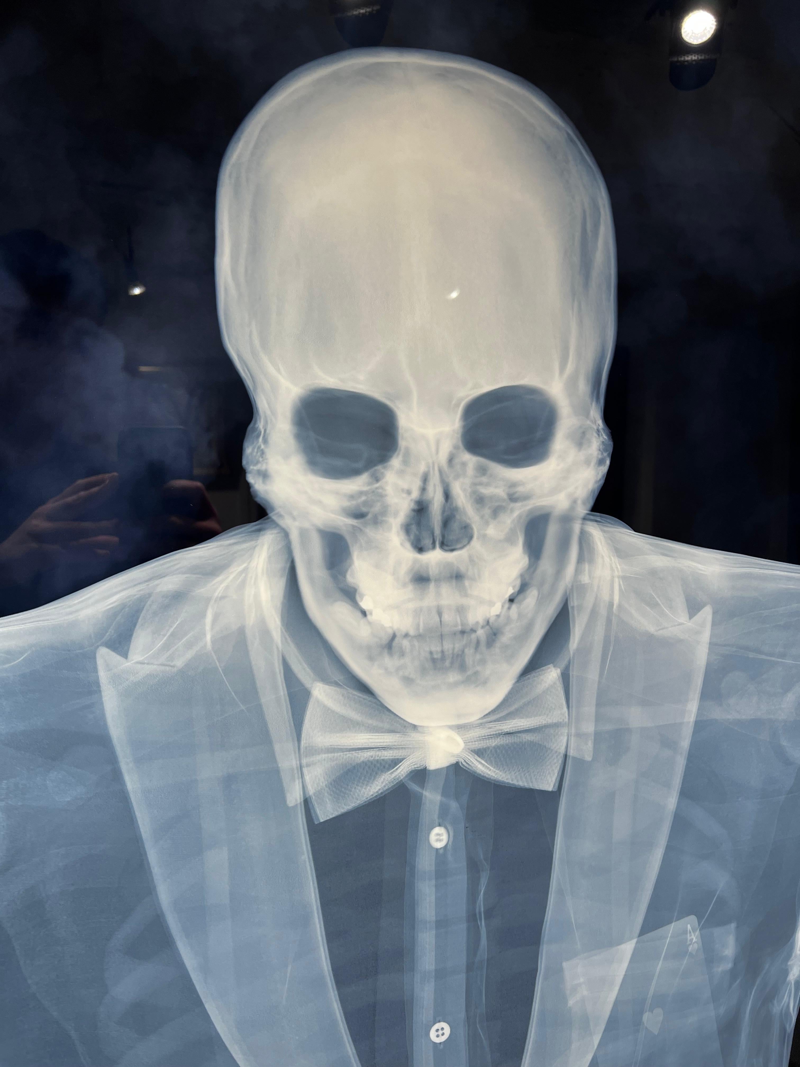 Black Jack im Angebot 1