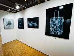 Fotografía Eames Chillin' Xray