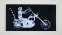 "Easy Rider", photography by Nick Veasey (47x24'), 2015